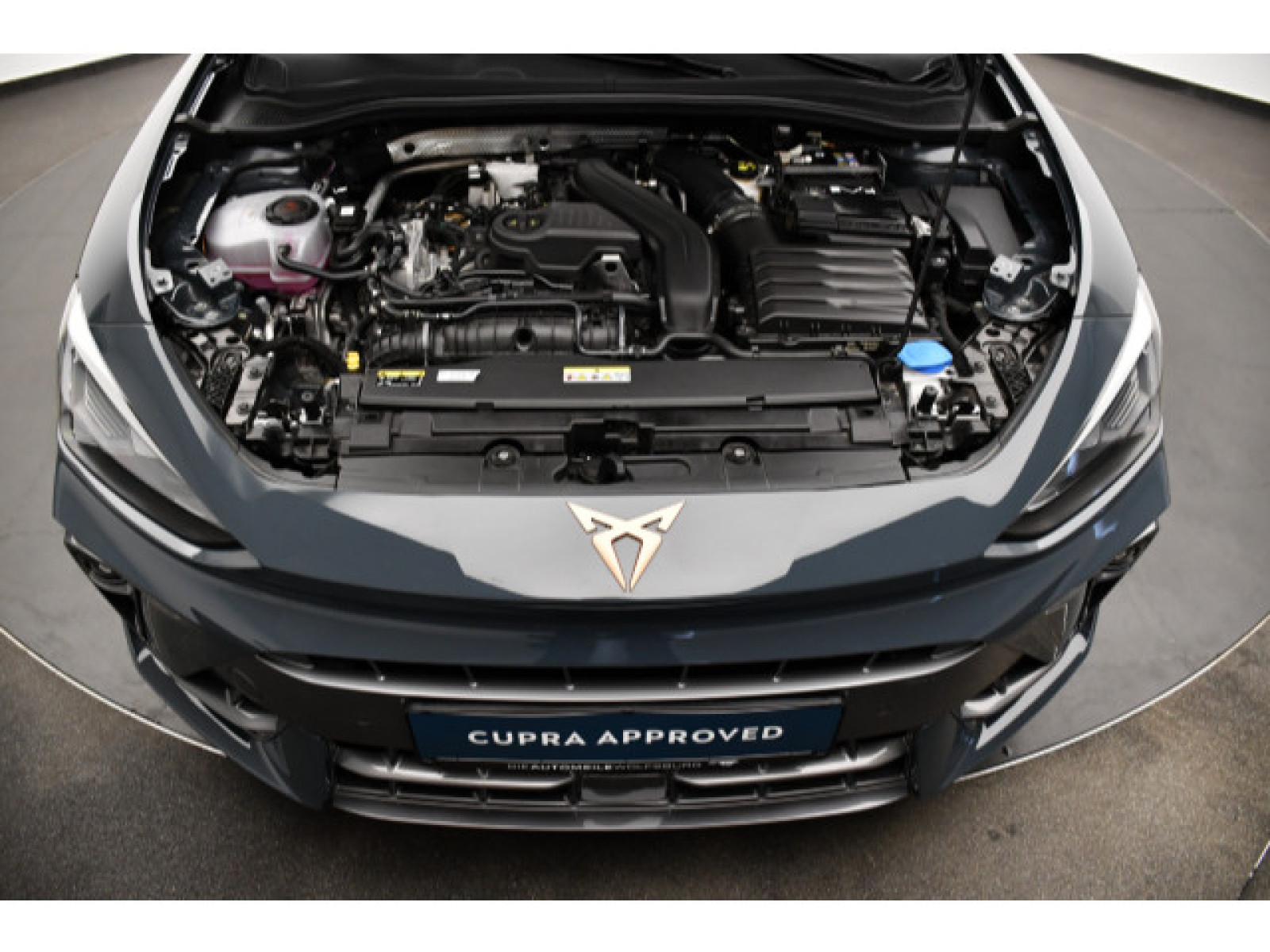 Cupra - Leon_12
