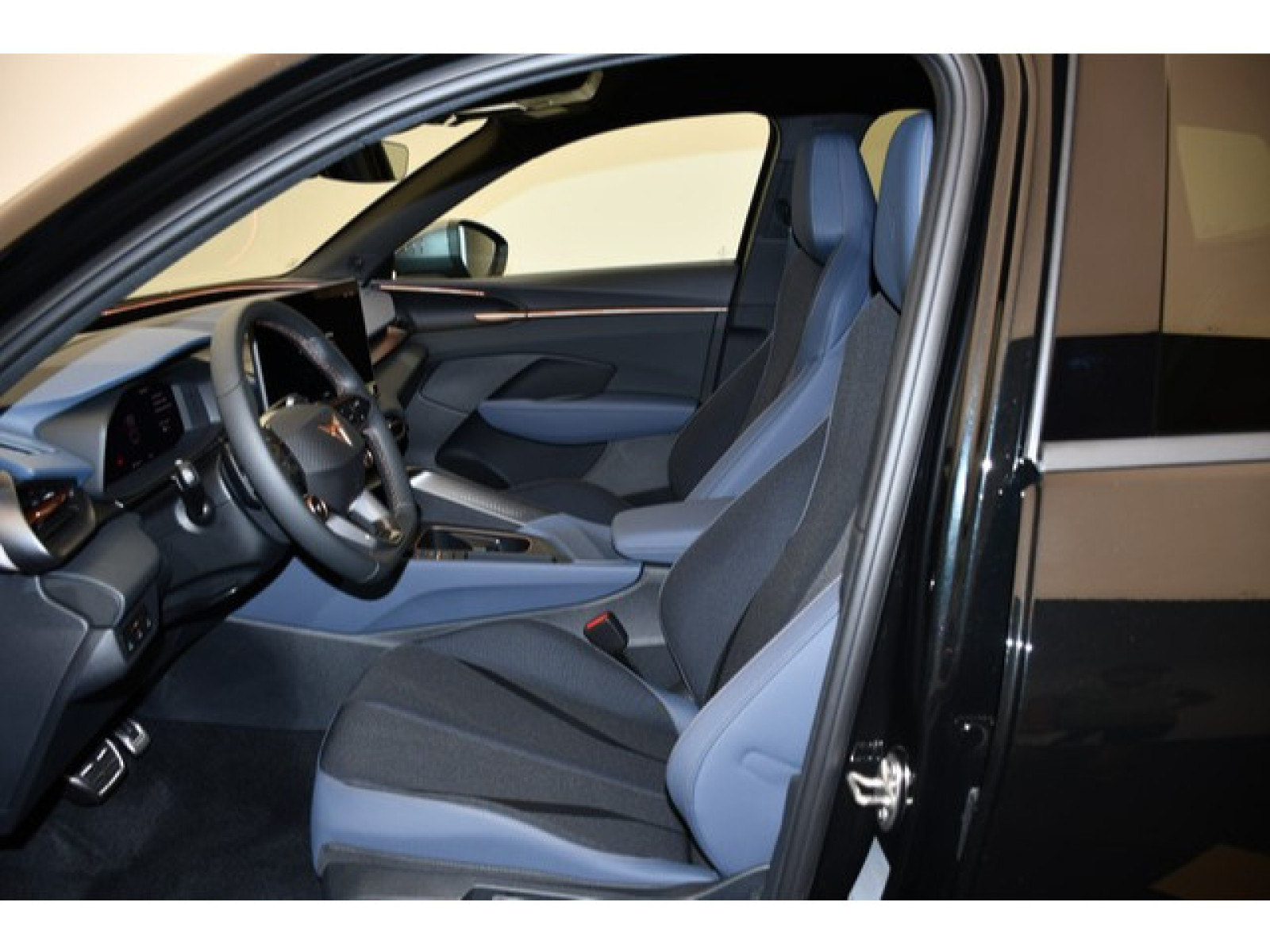 Cupra - Terramar_3