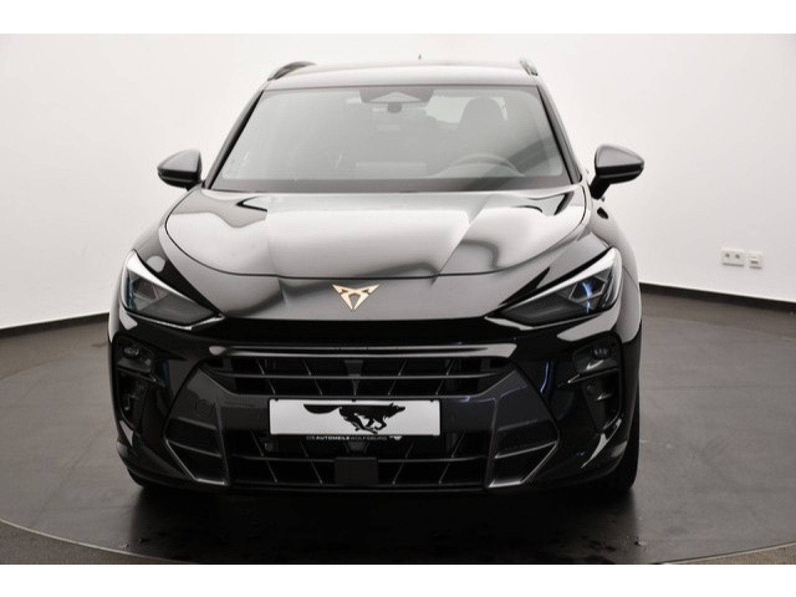 Cupra - Terramar_18