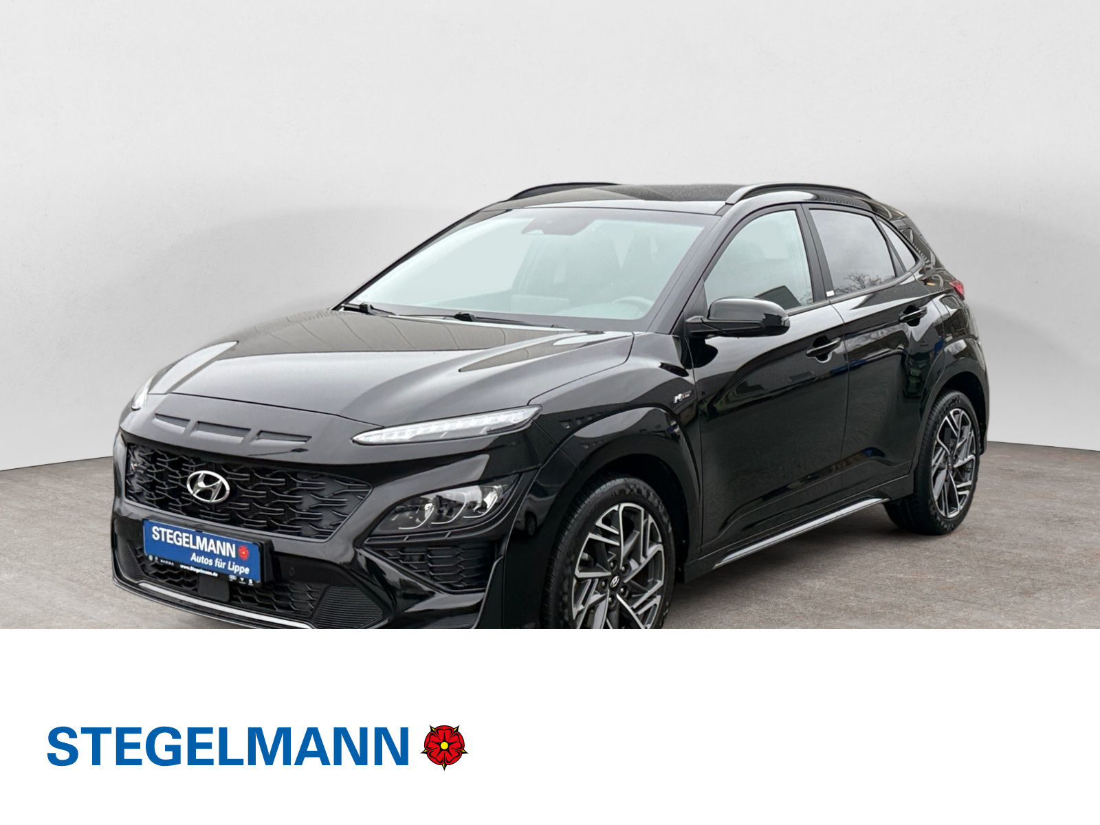 diagonal-frontansicht-aussen