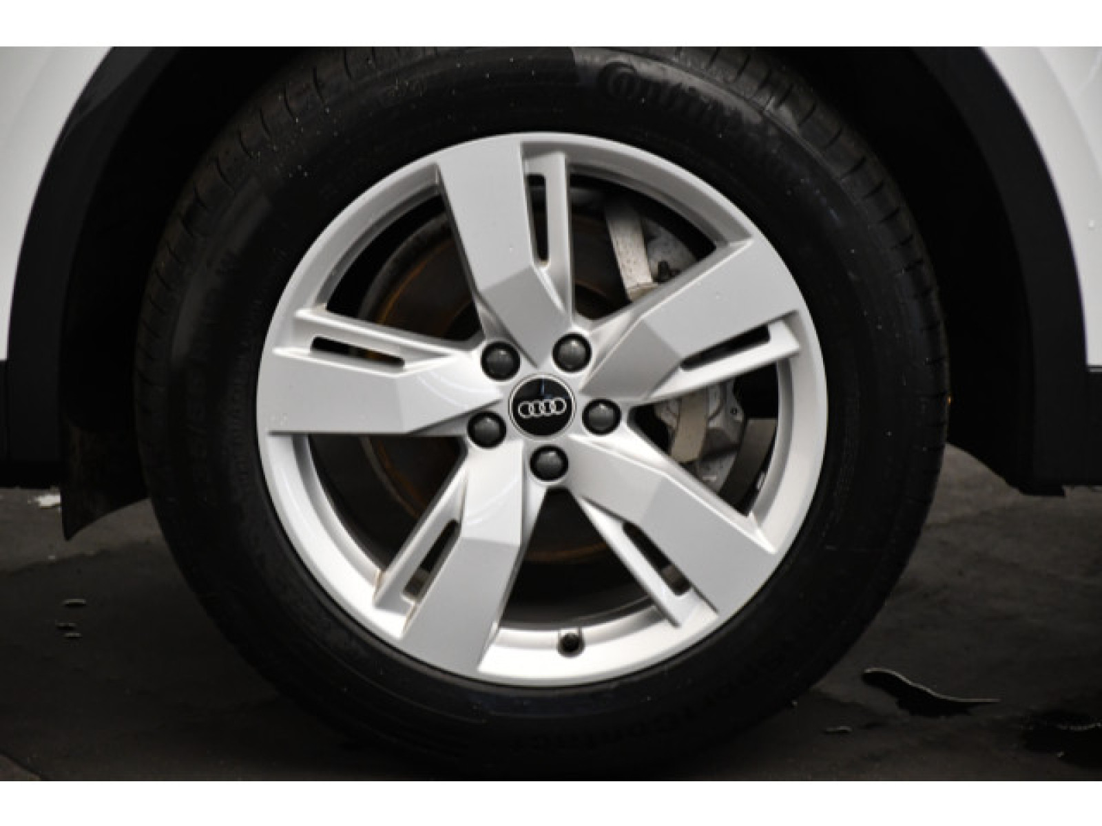 Audi - Q5_13