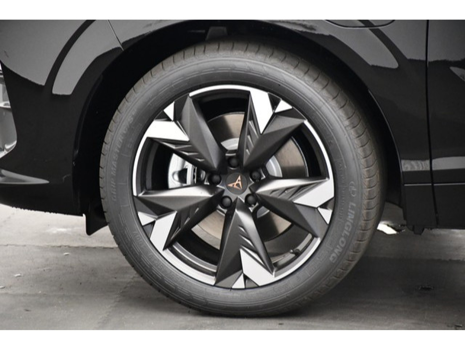 Cupra - Terramar_4