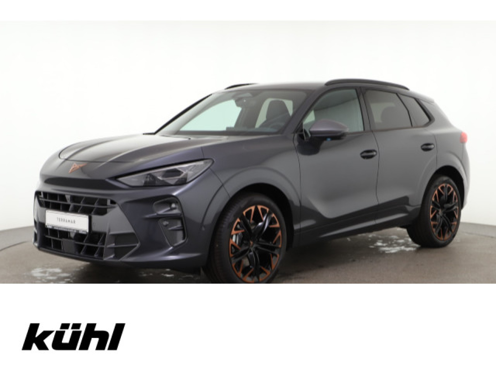 Cupra - Terramar_1