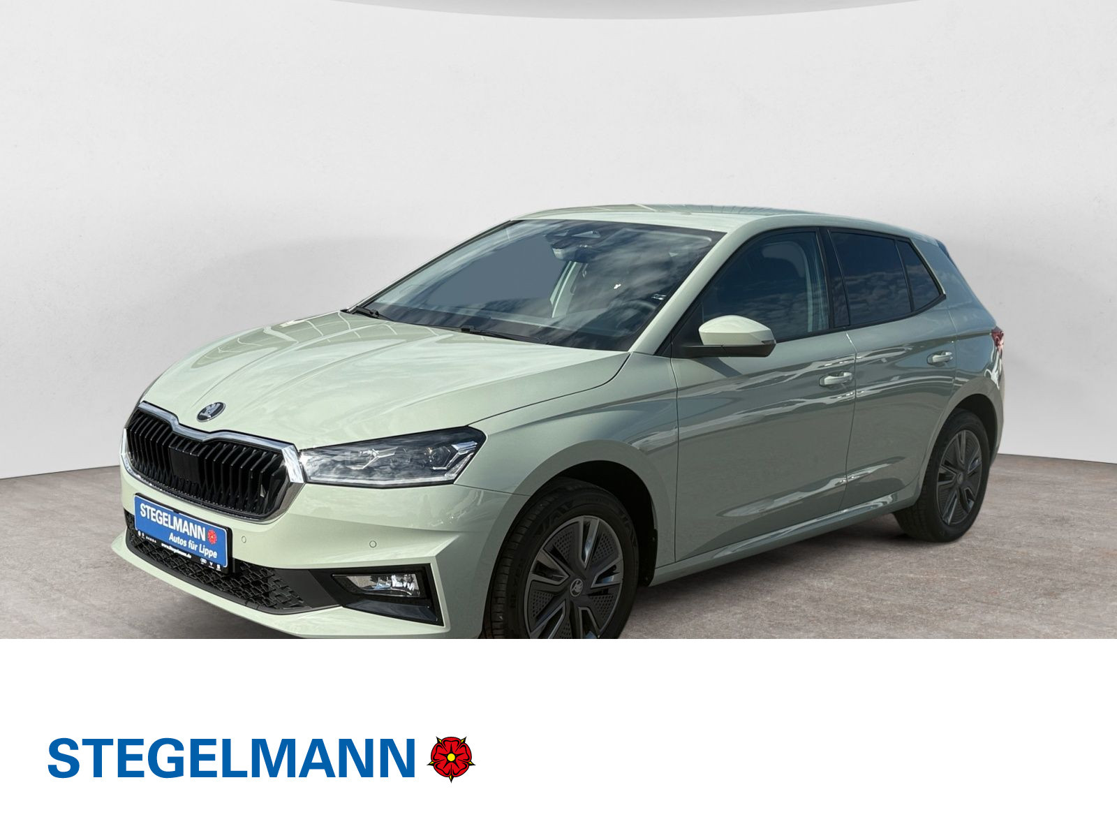 Fahrzeugbild_1