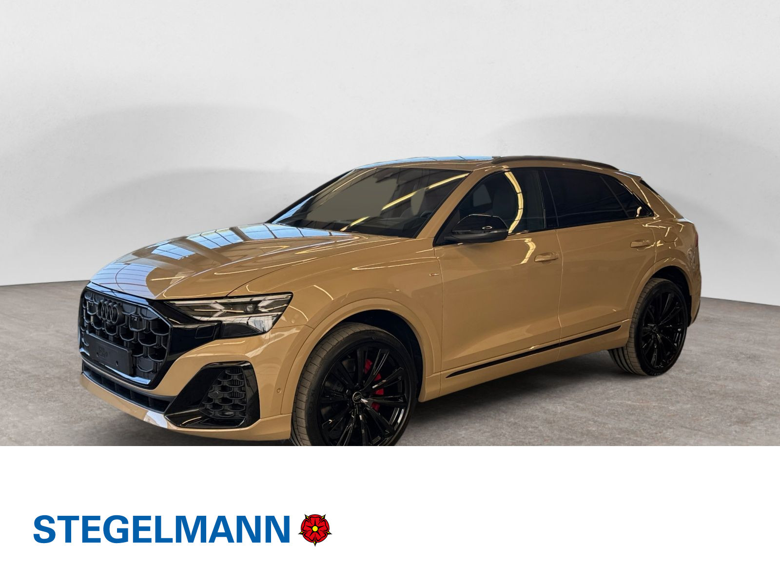 Audi - Q8_1