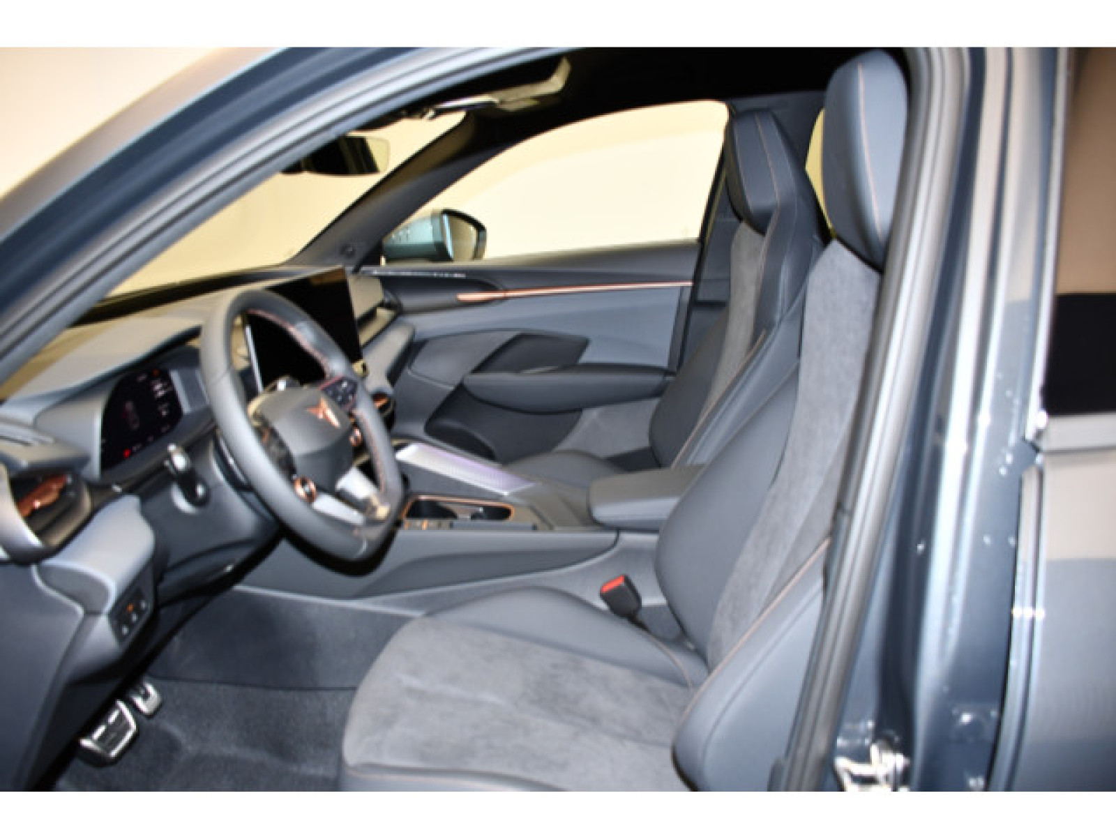 Cupra - Terramar_3
