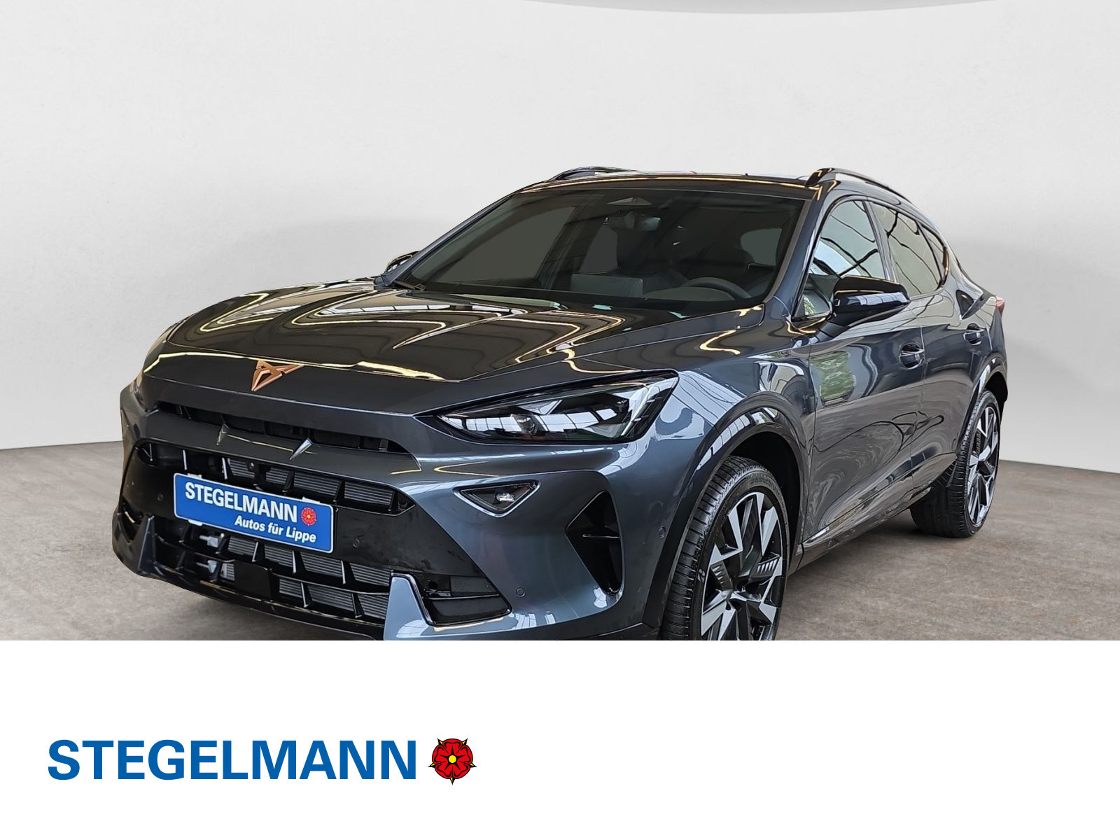 diagonal-frontansicht-aussen