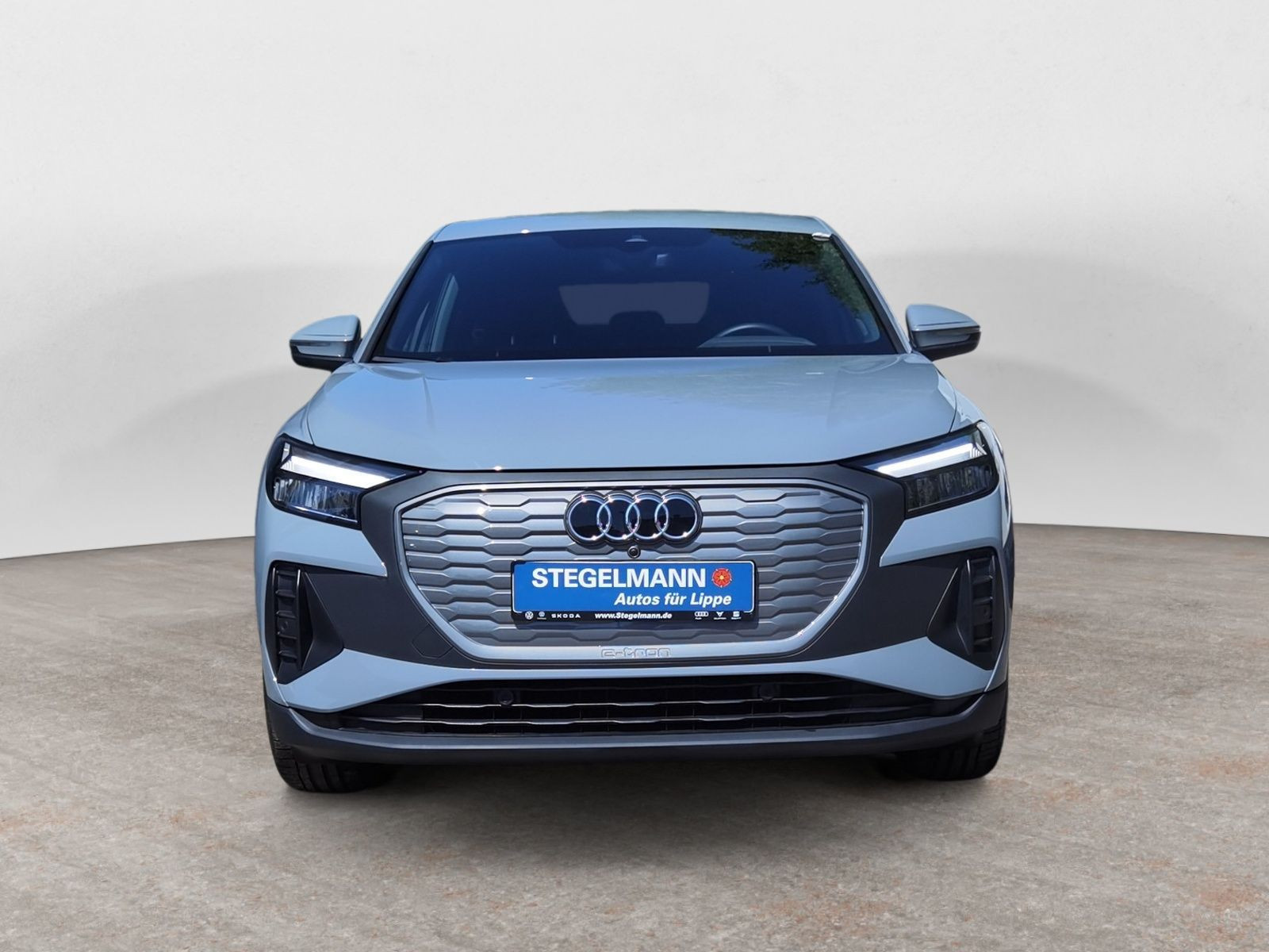 Audi - Q4 e-tron_10