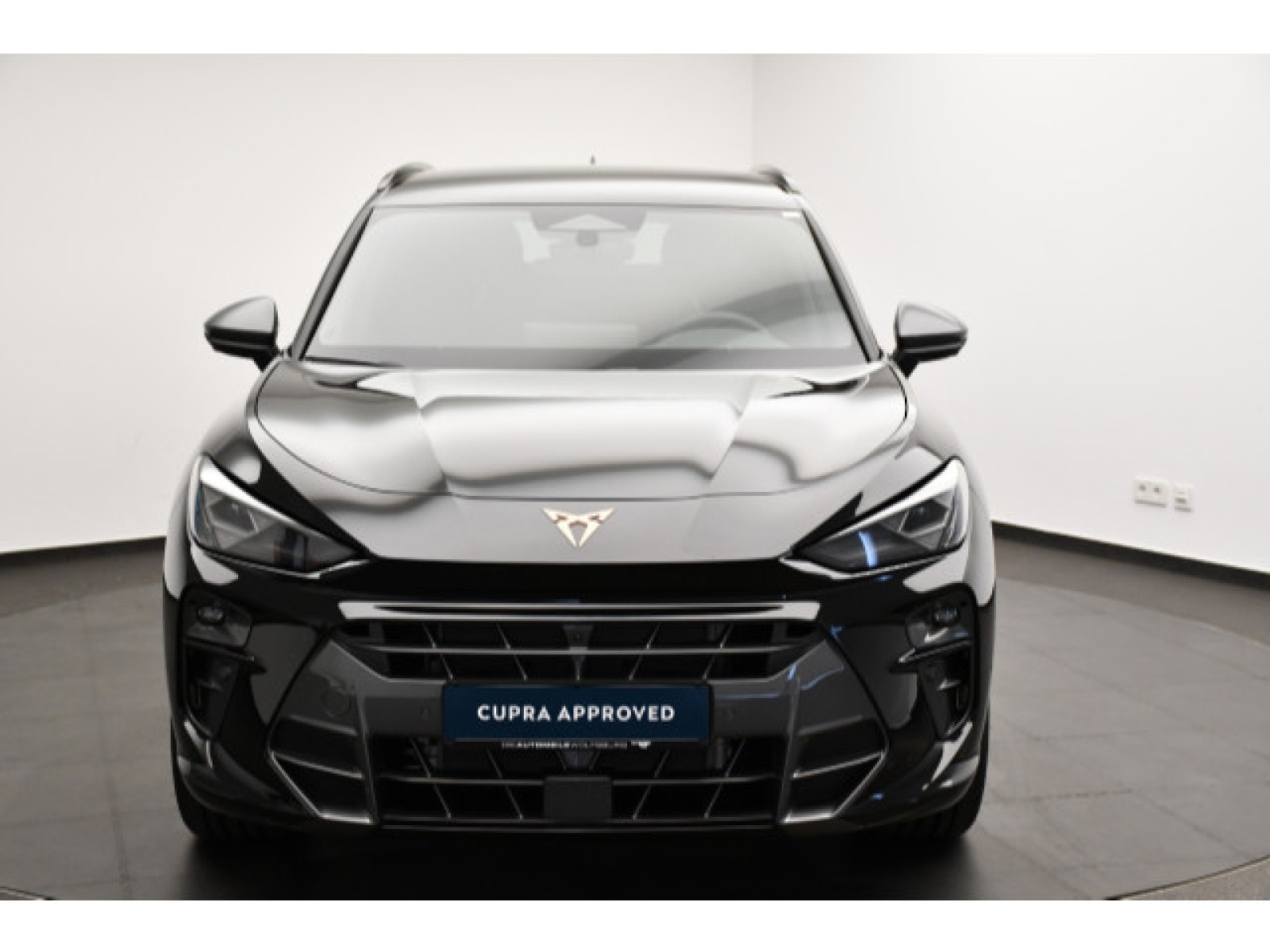 Cupra - Terramar_18