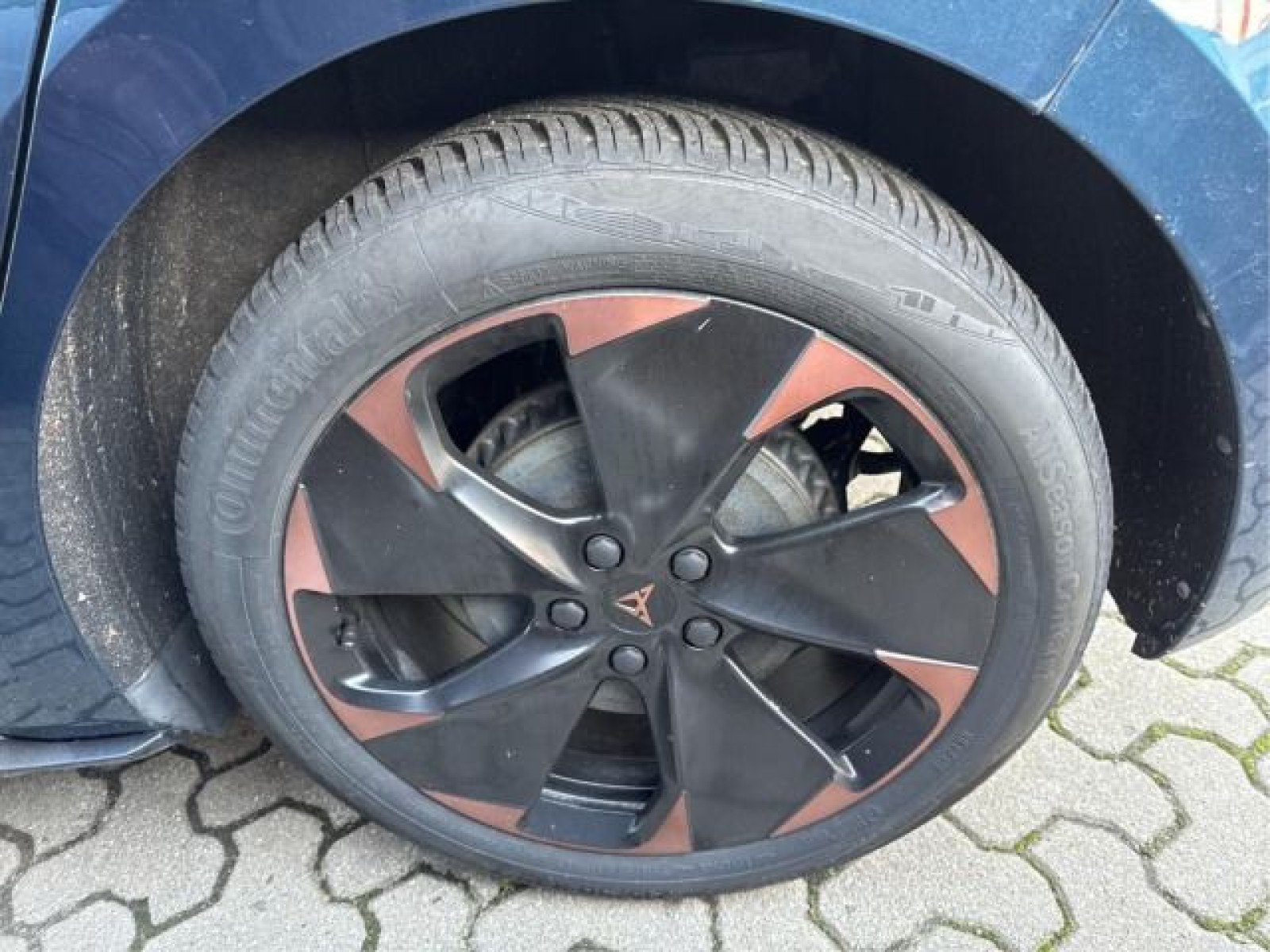 Fahrzeugbild_5
