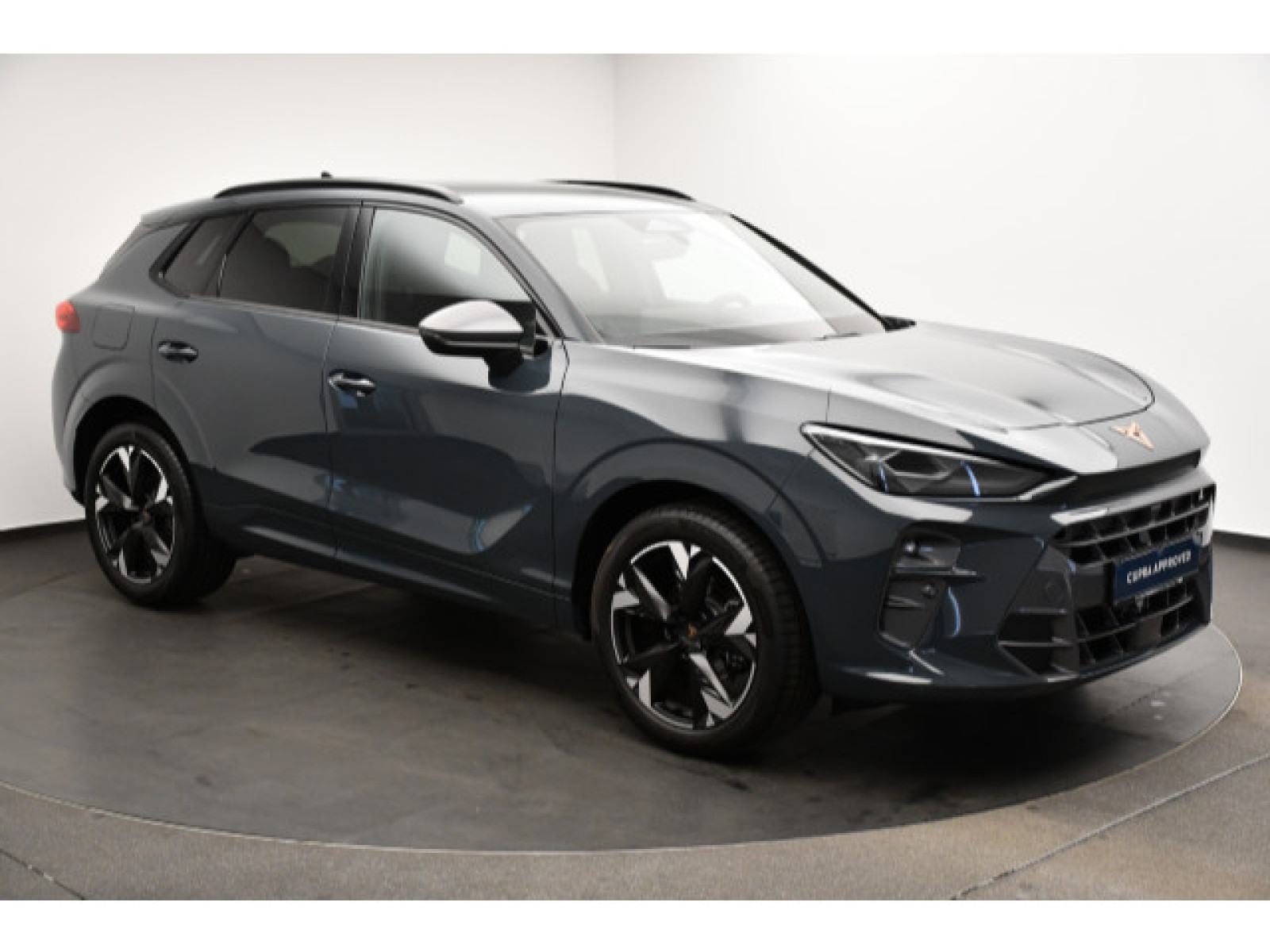 Cupra - Terramar_14