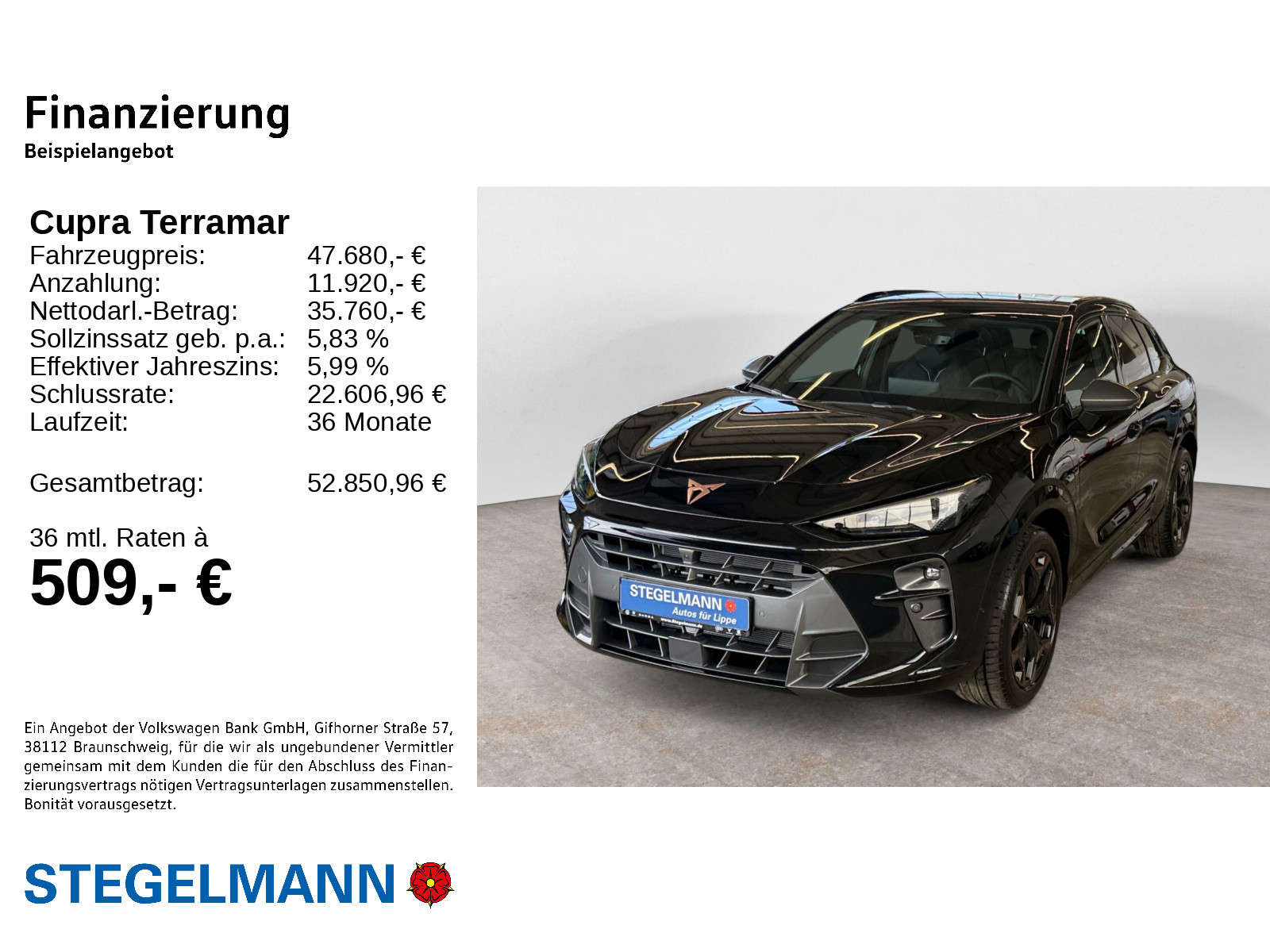 Cupra - Terramar_2