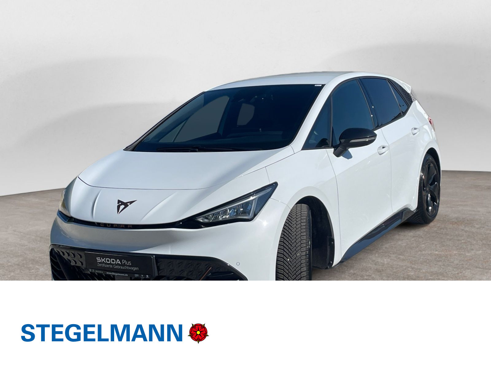 Fahrzeugbild_1