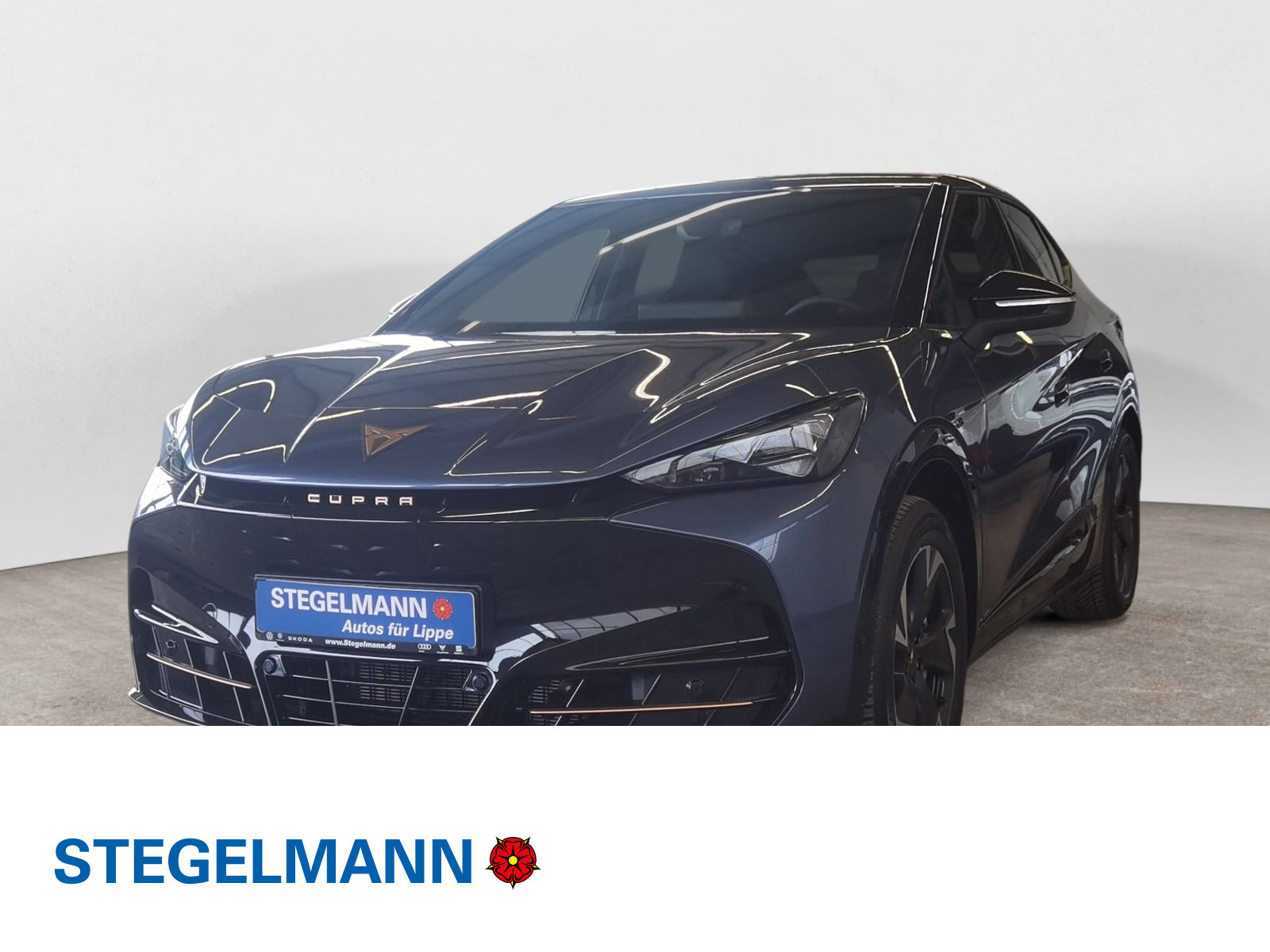 Fahrzeugbild_1