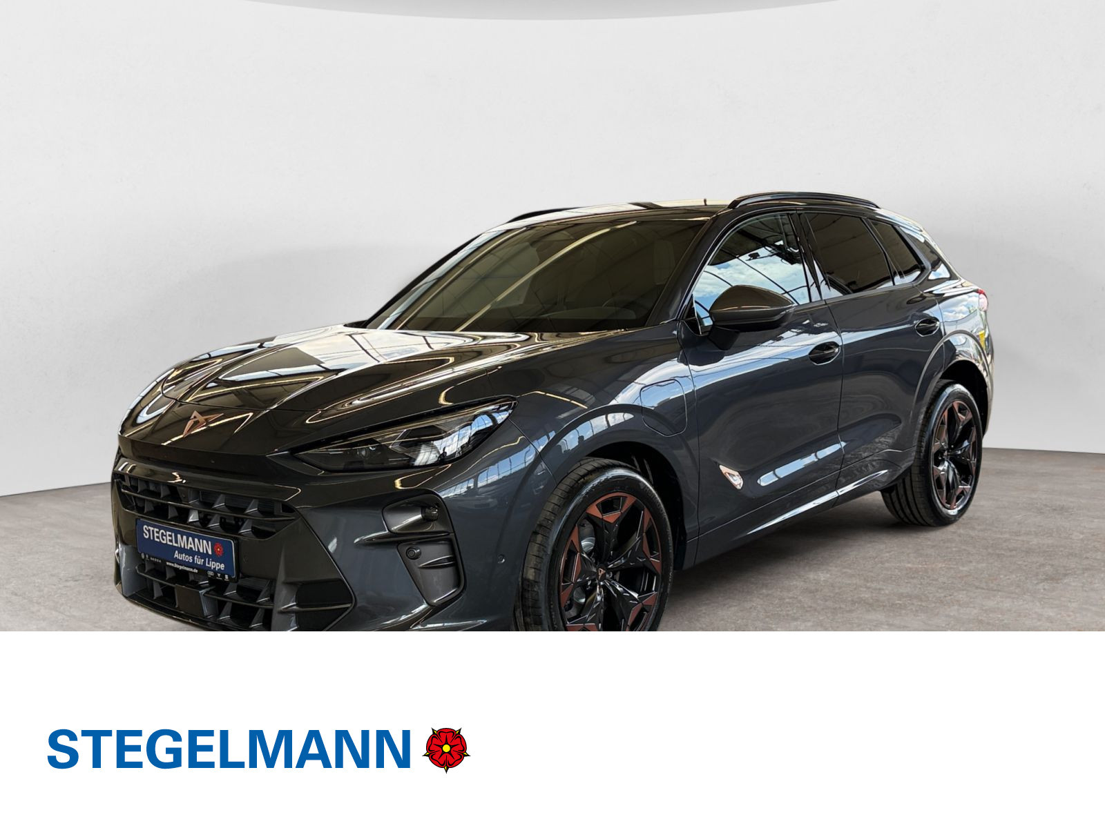 Cupra - Terramar_1
