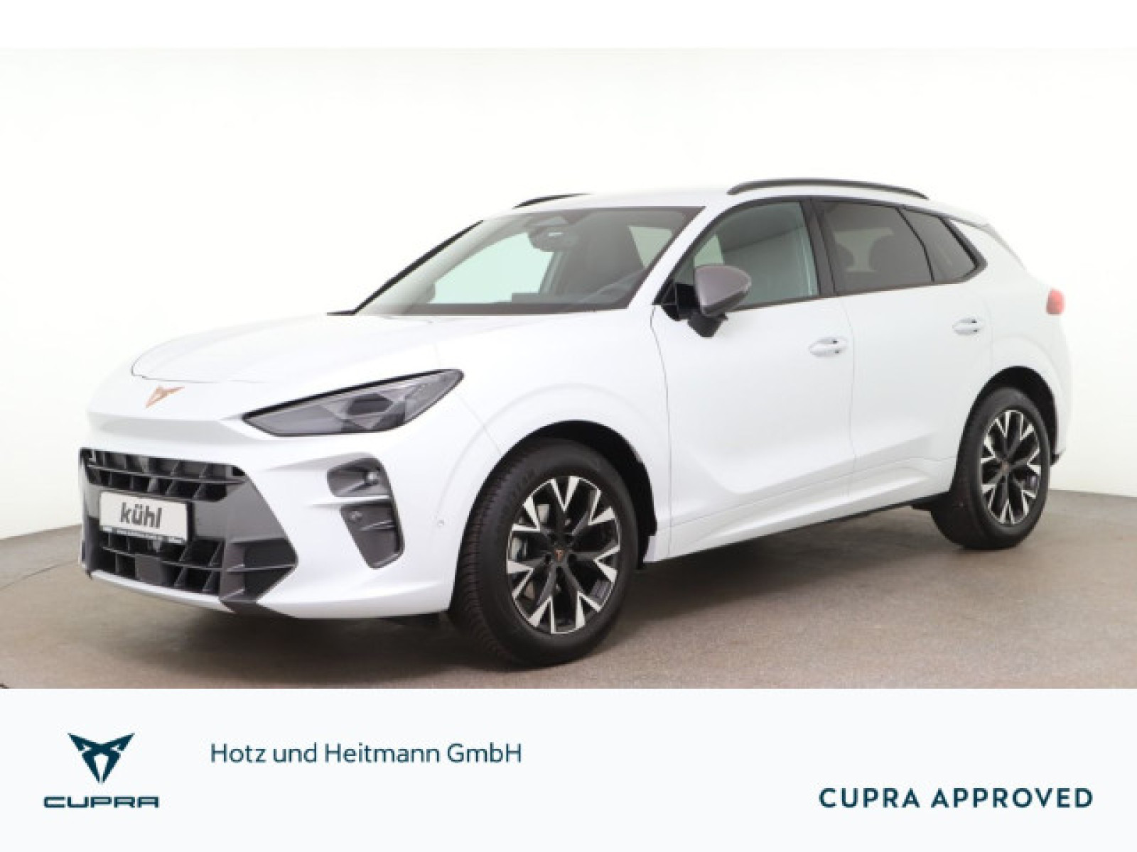 Cupra - Terramar_1