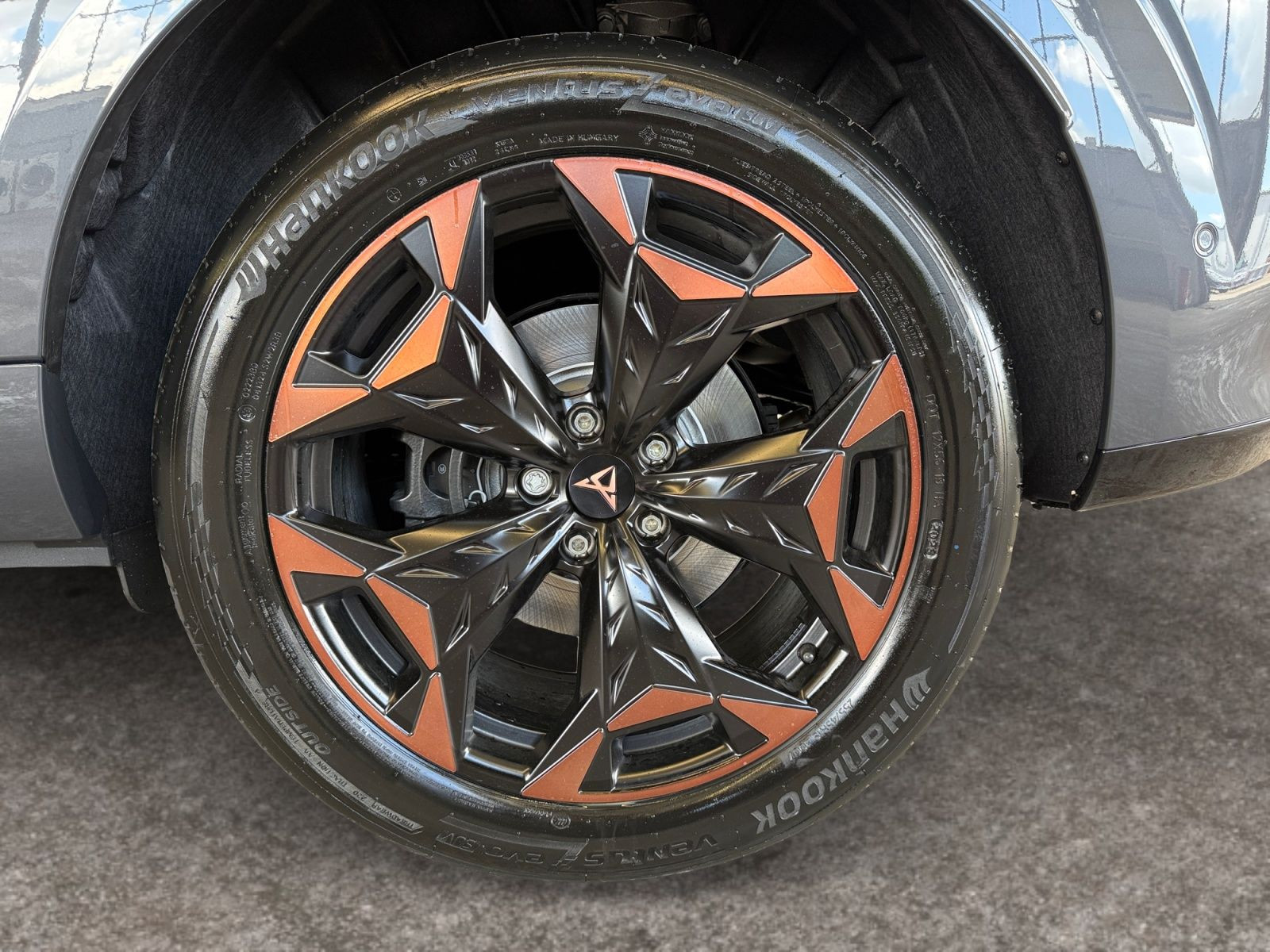 Cupra - Terramar_15