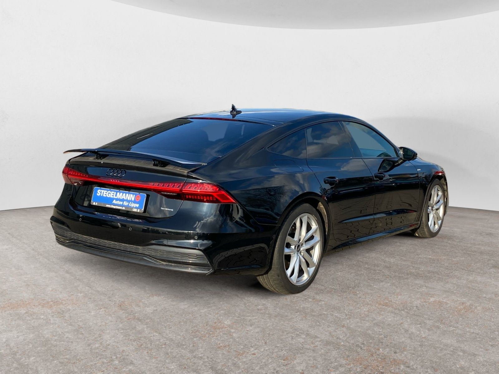 diagonalansicht-hinten-aussen