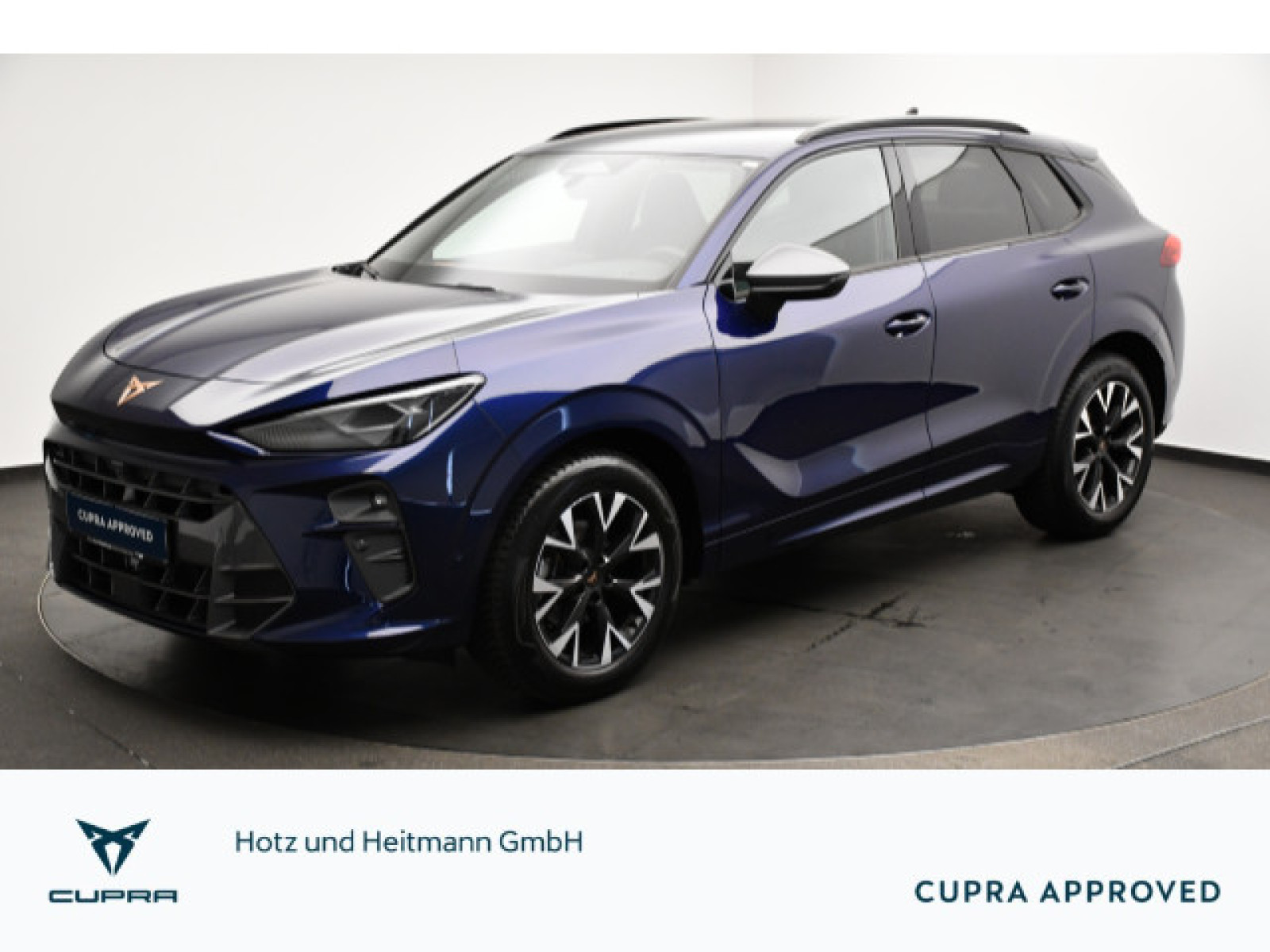 Cupra - Terramar_1
