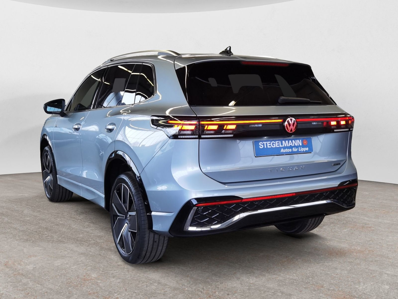 diagonalansicht-hinten-aussen