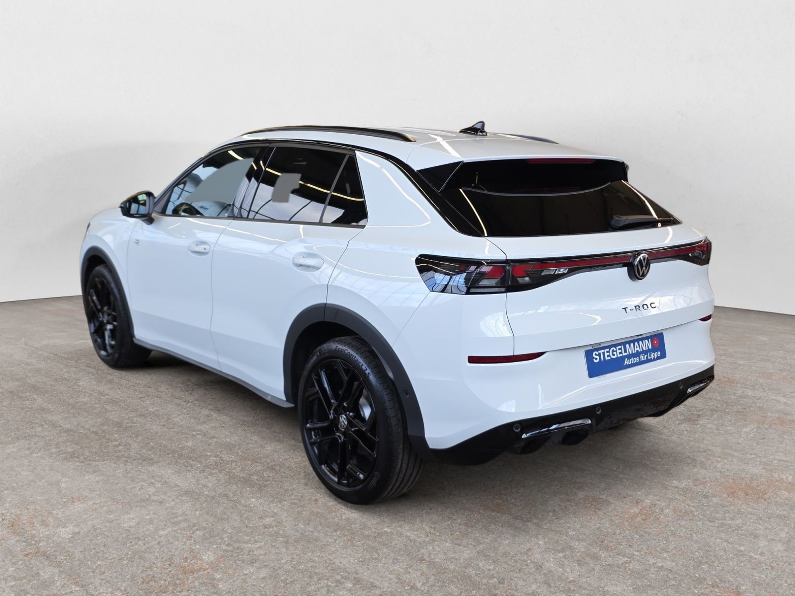 diagonalansicht-hinten-aussen