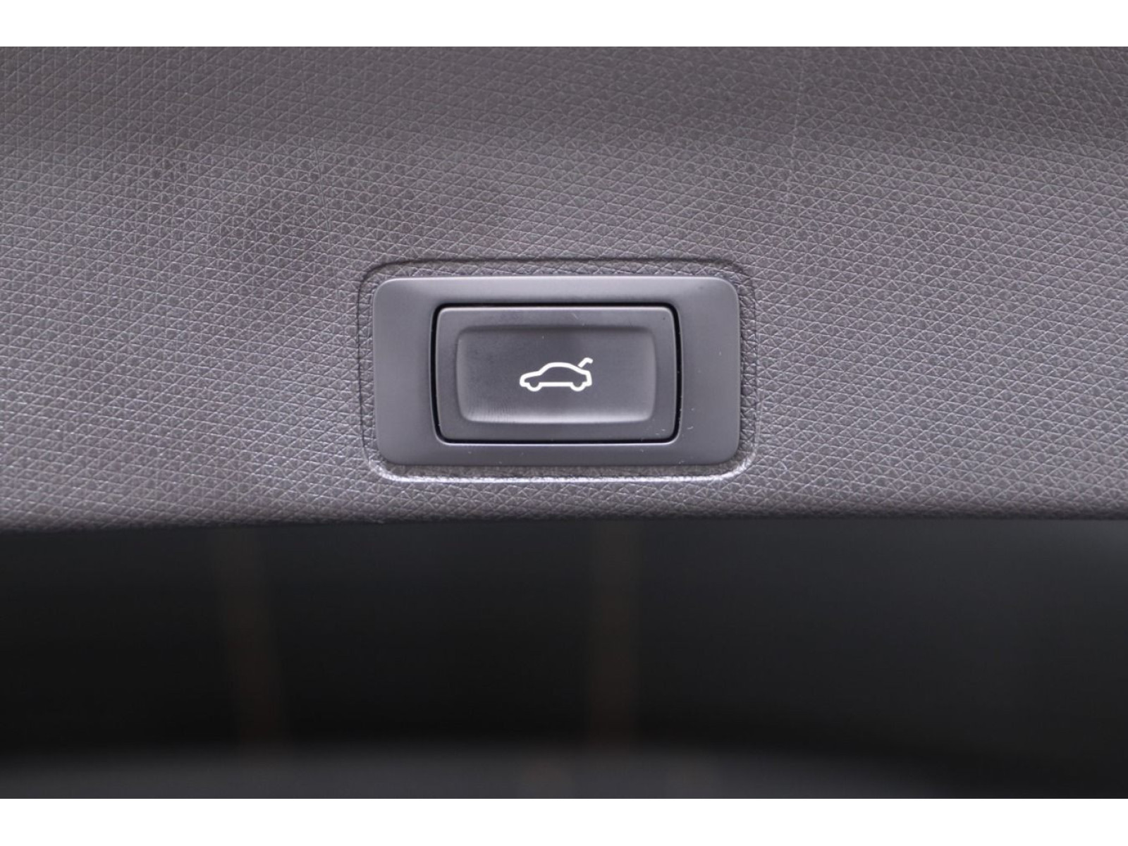Cupra - Terramar_16