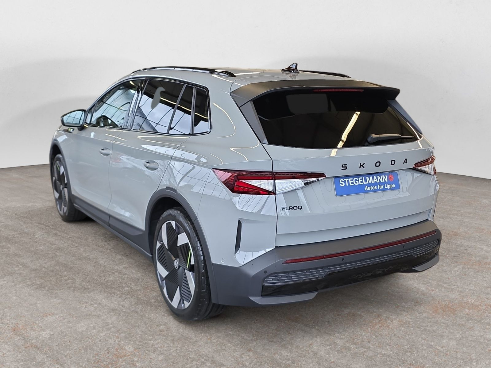 diagonalansicht-hinten-aussen