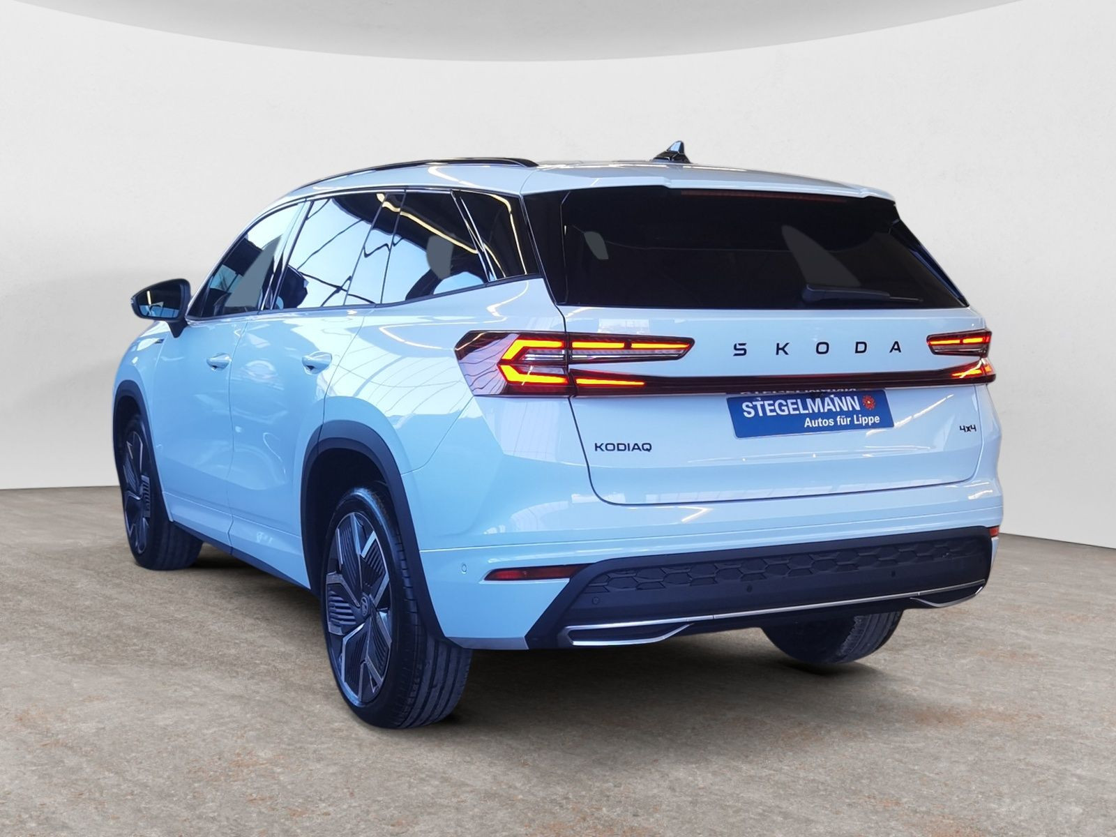 diagonalansicht-hinten-aussen