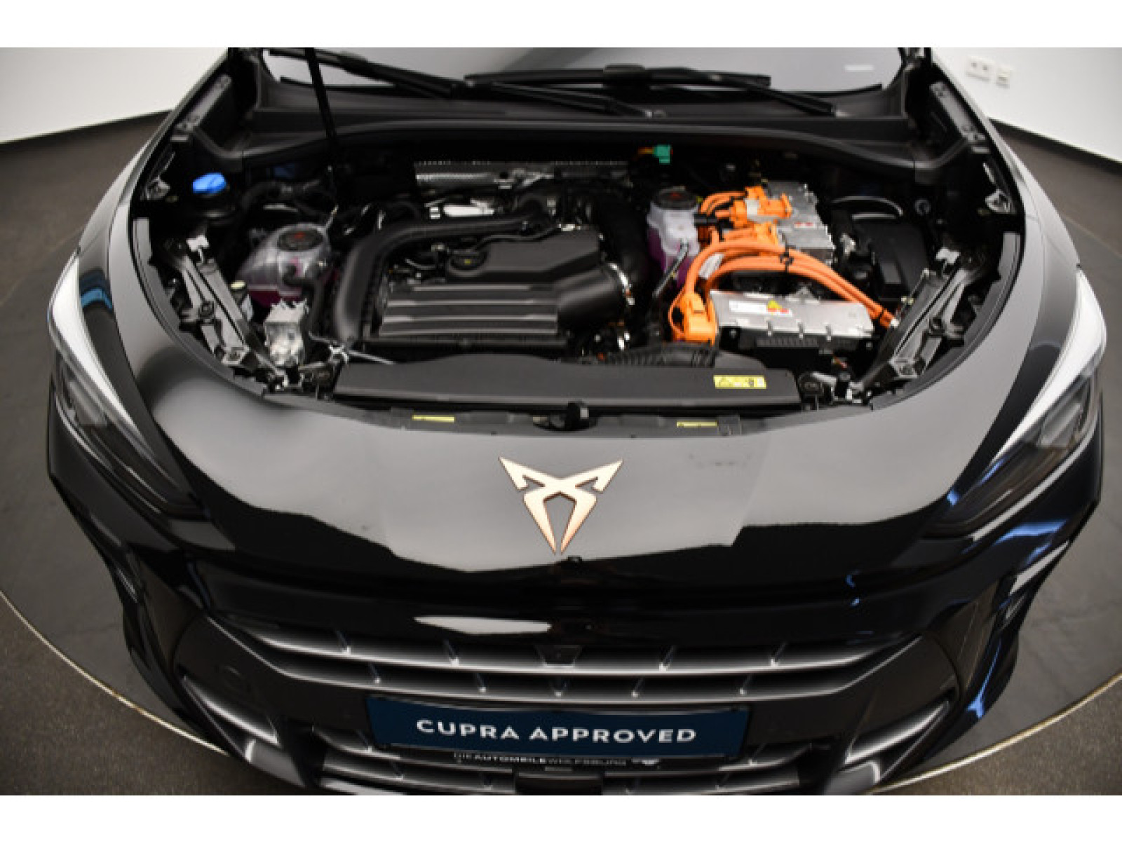 Cupra - Terramar_12