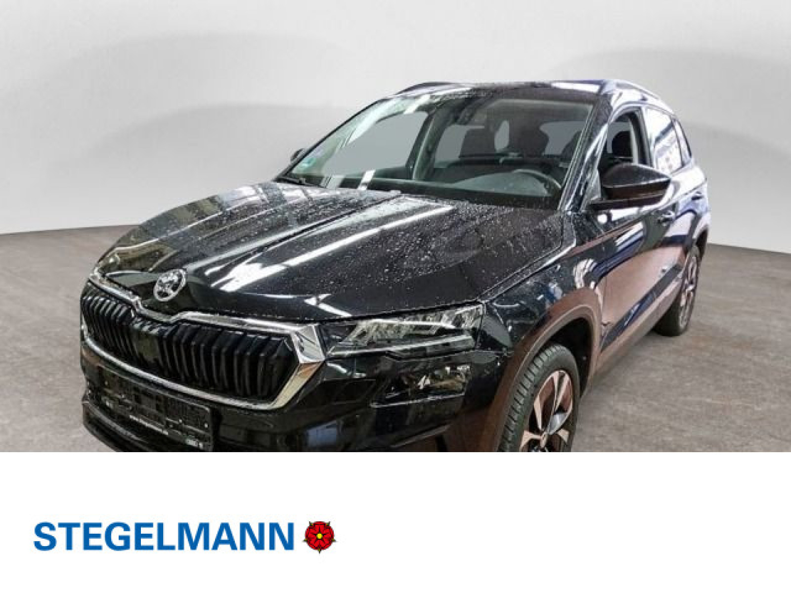 diagonal-frontansicht-aussen