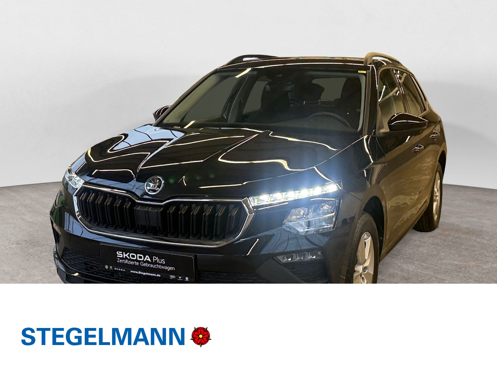 diagonal-frontansicht-aussen