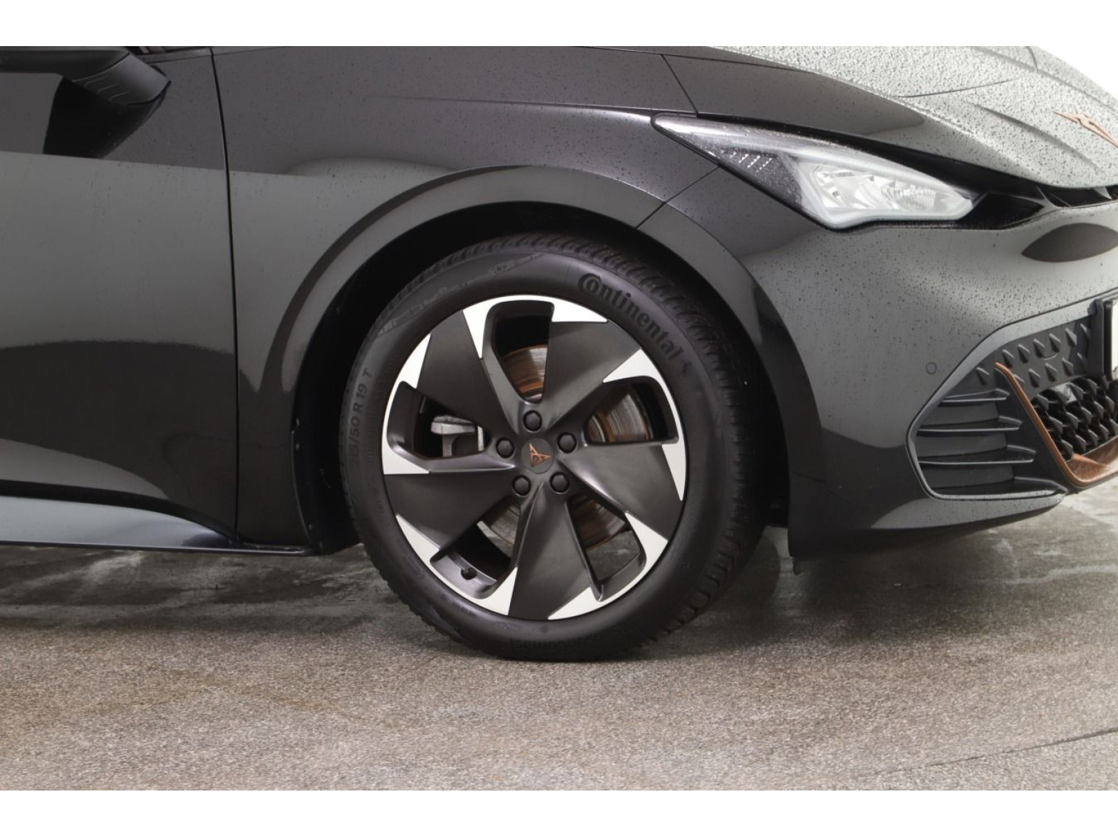 Cupra - Born_4