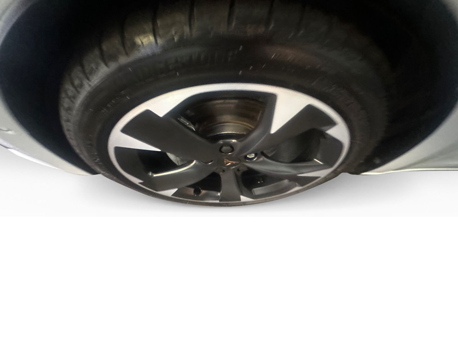 Cupra - Leon_15