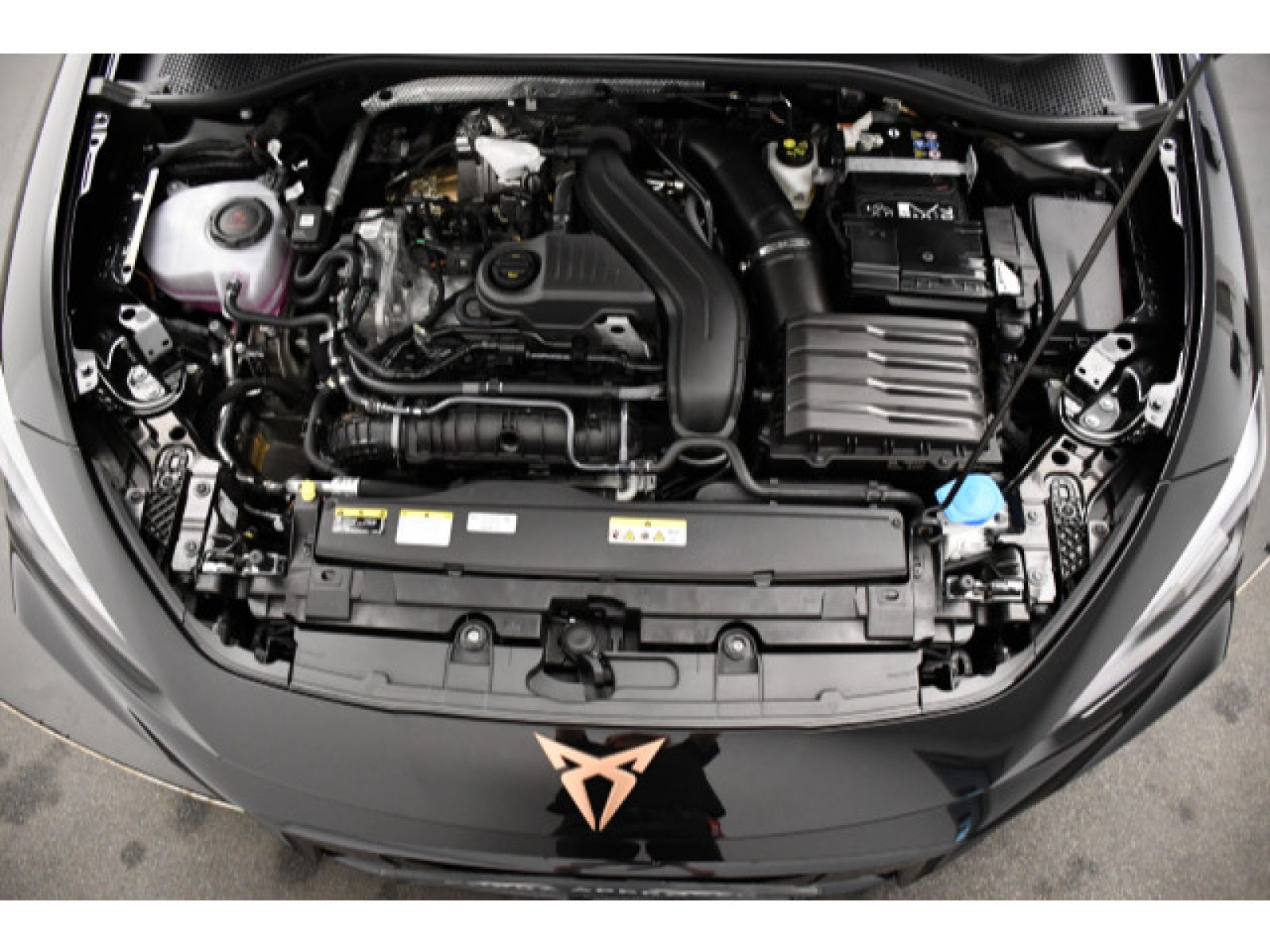 Cupra - Leon_13