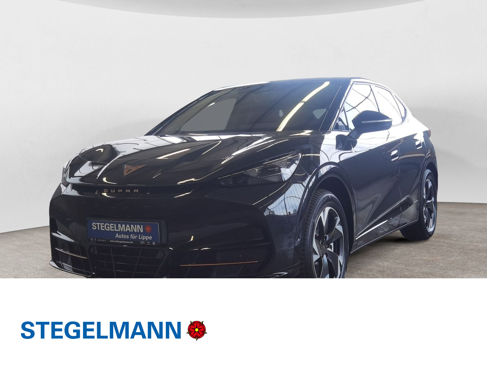 Fahrzeugbild_1