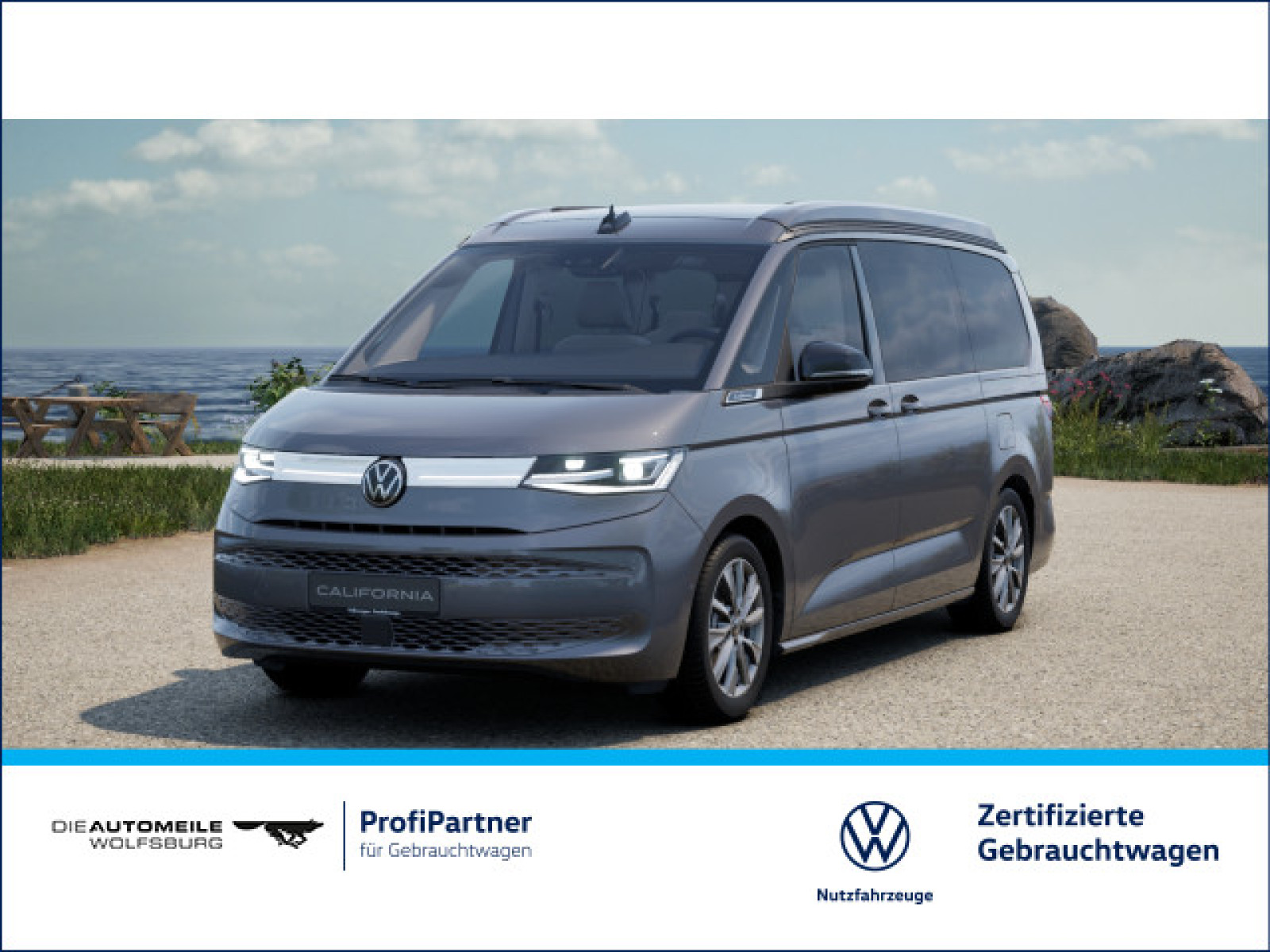 Volkswagen - California_1