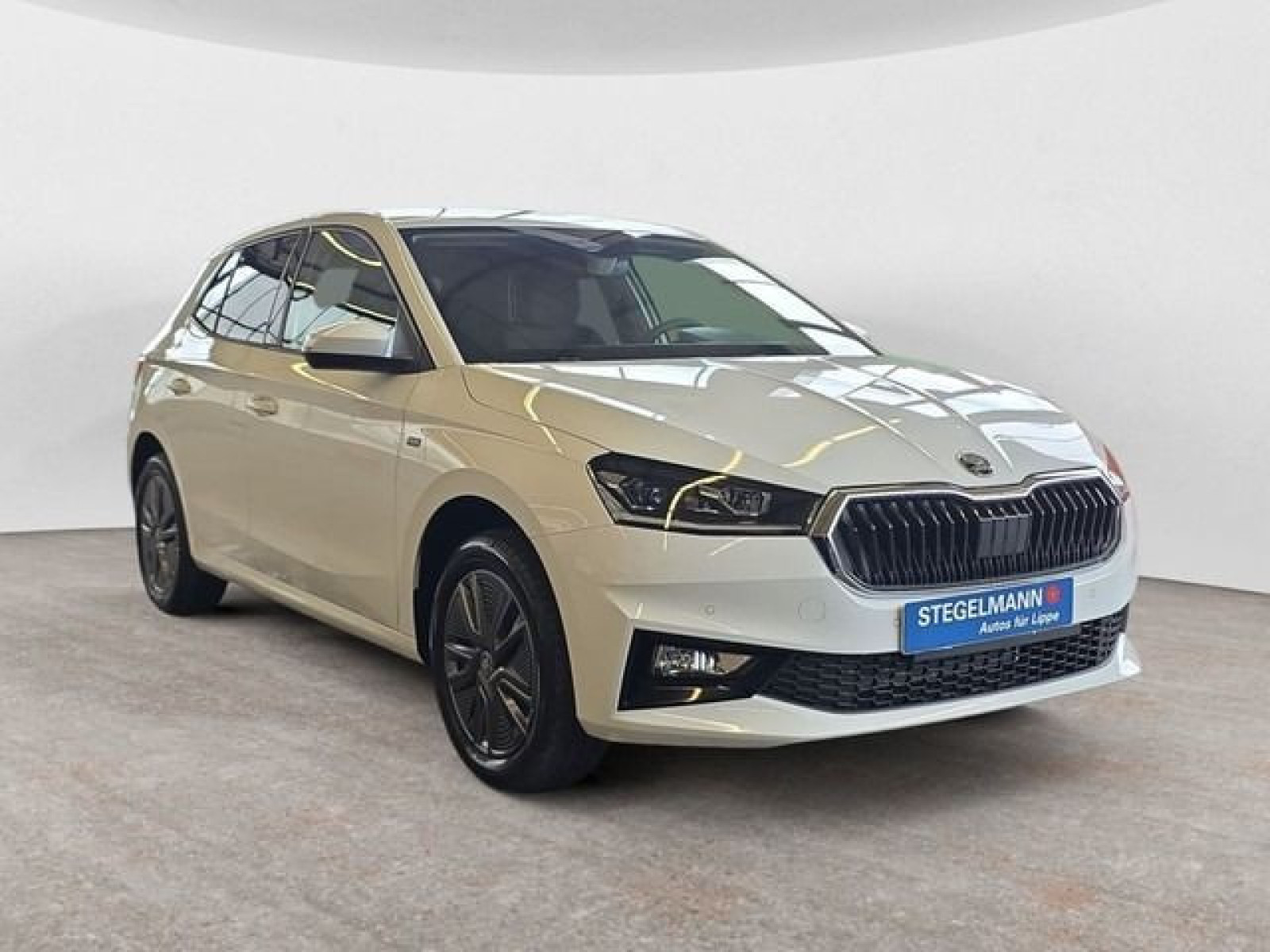 diagonal-frontansicht-aussen