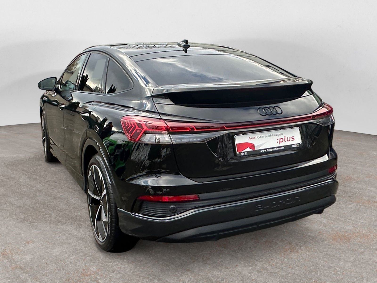 diagonalansicht-hinten-aussen