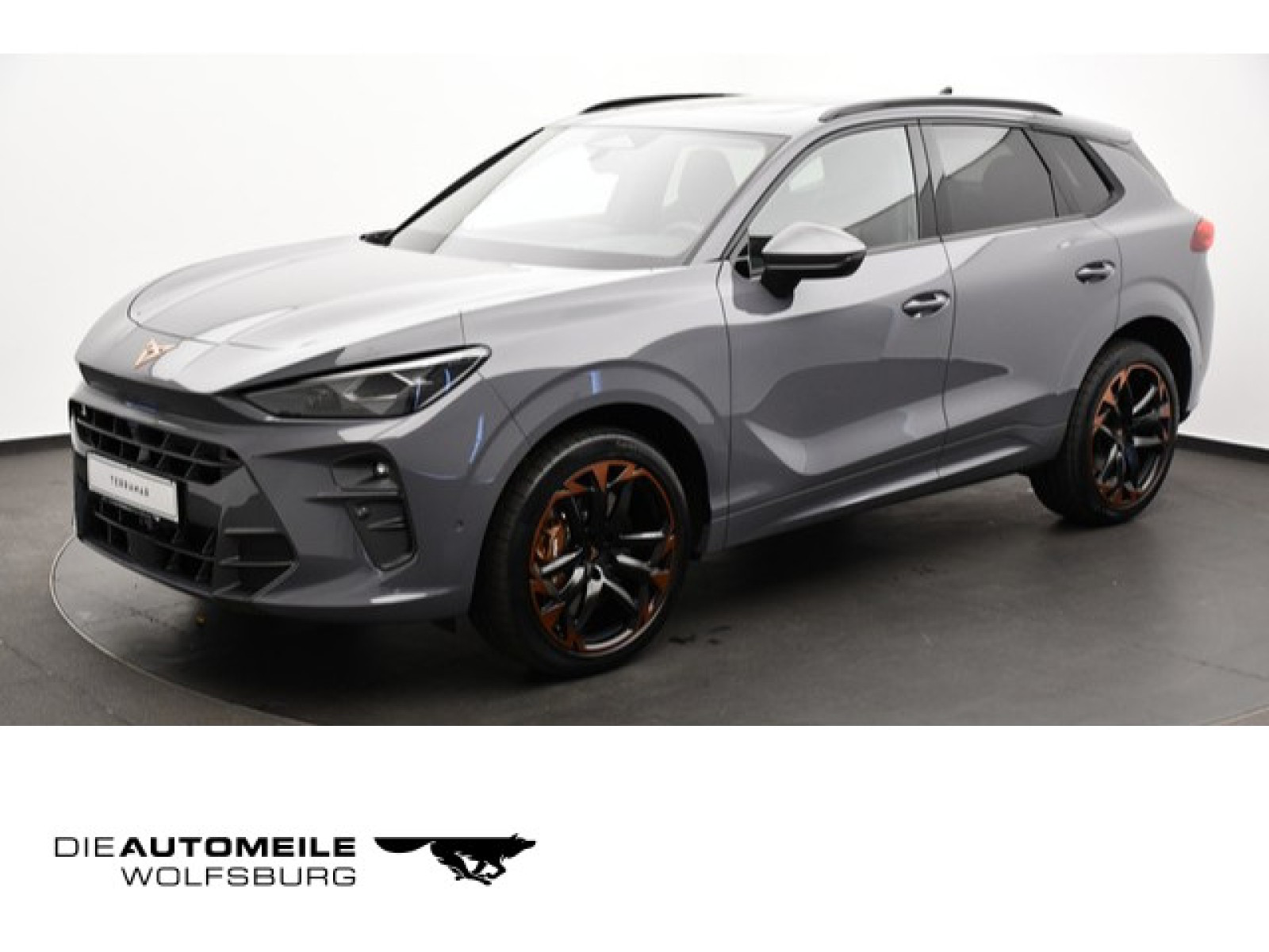 Terramar 2.0 TSI 4Drive DSG VZ
