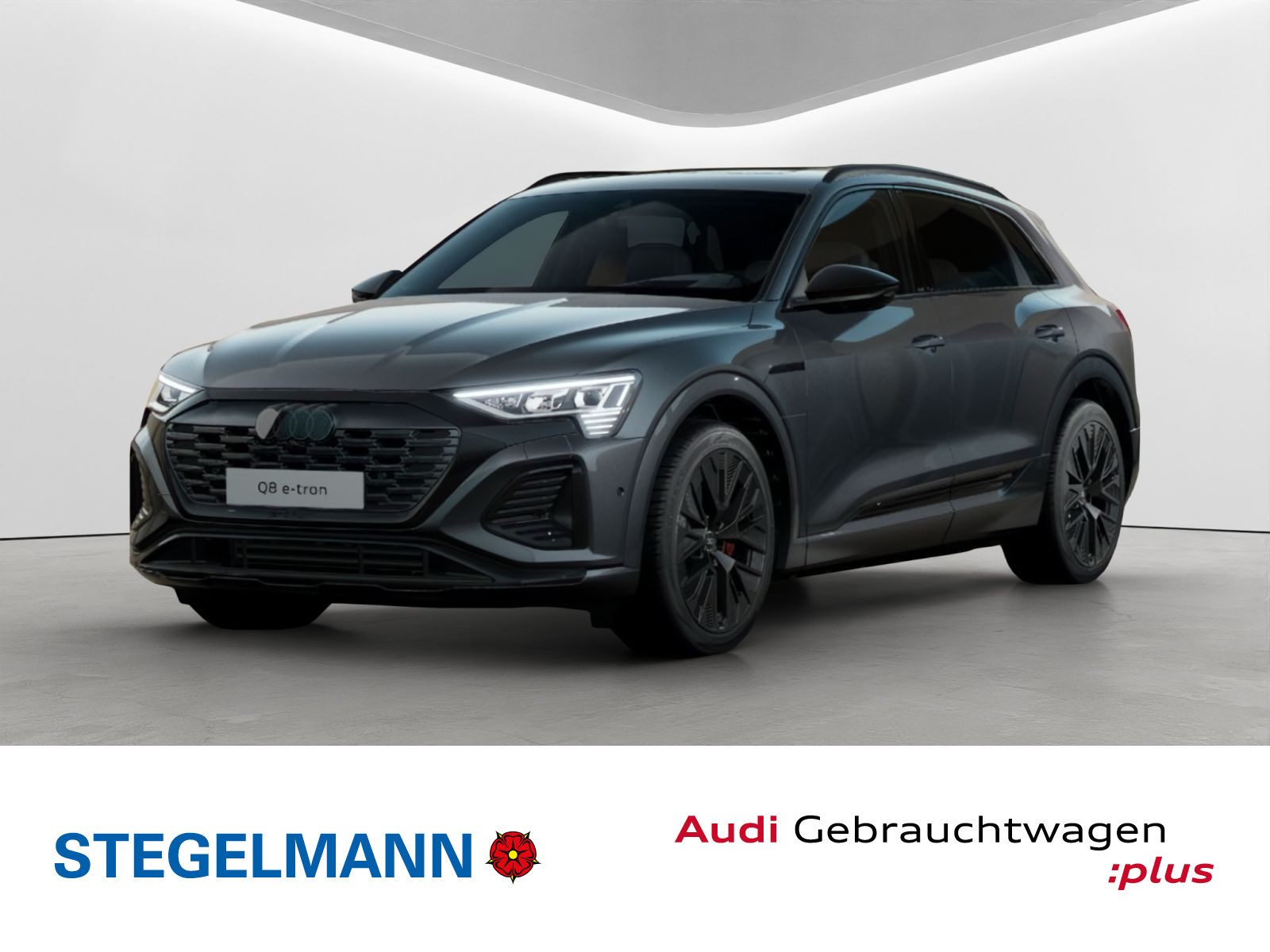 Audi - Q8 e-tron_1