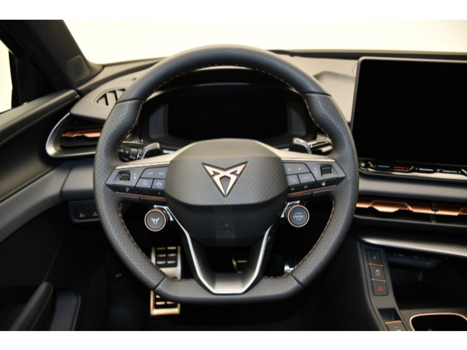 Cupra - Terramar_5