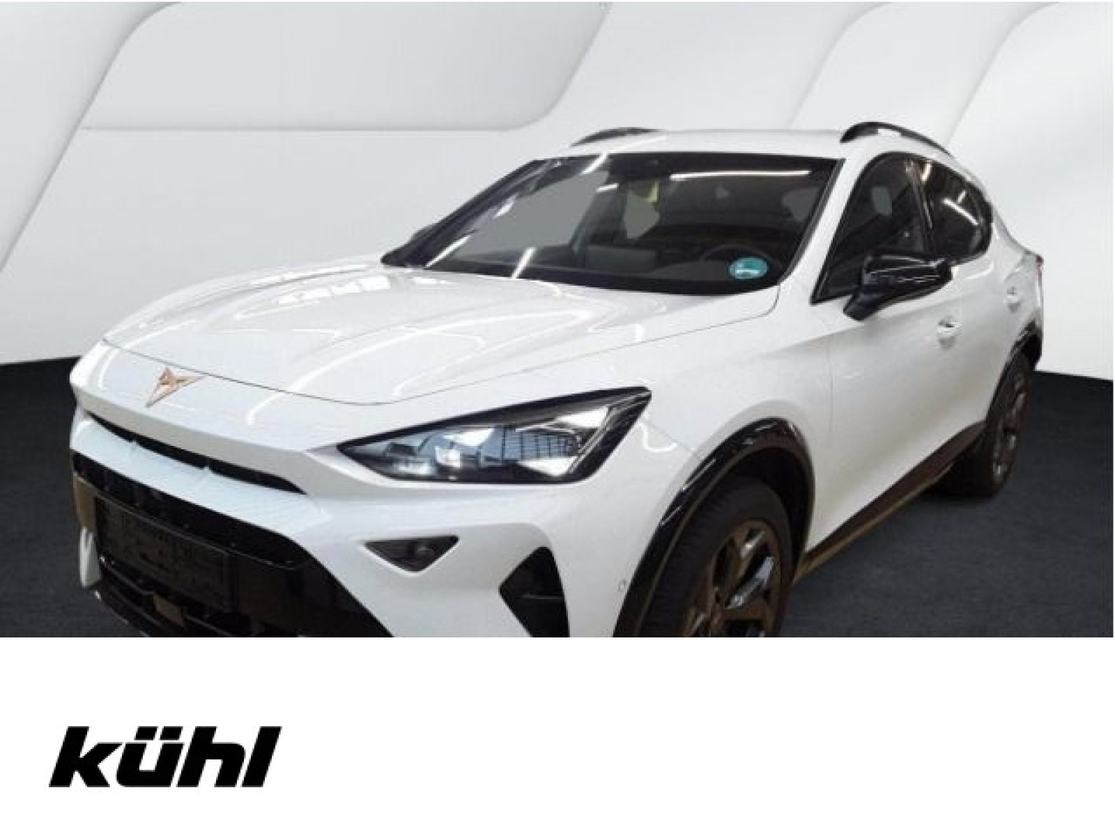 diagonal-frontansicht-aussen