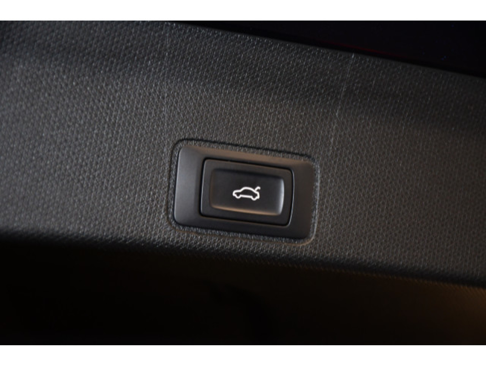 Cupra - Terramar_11
