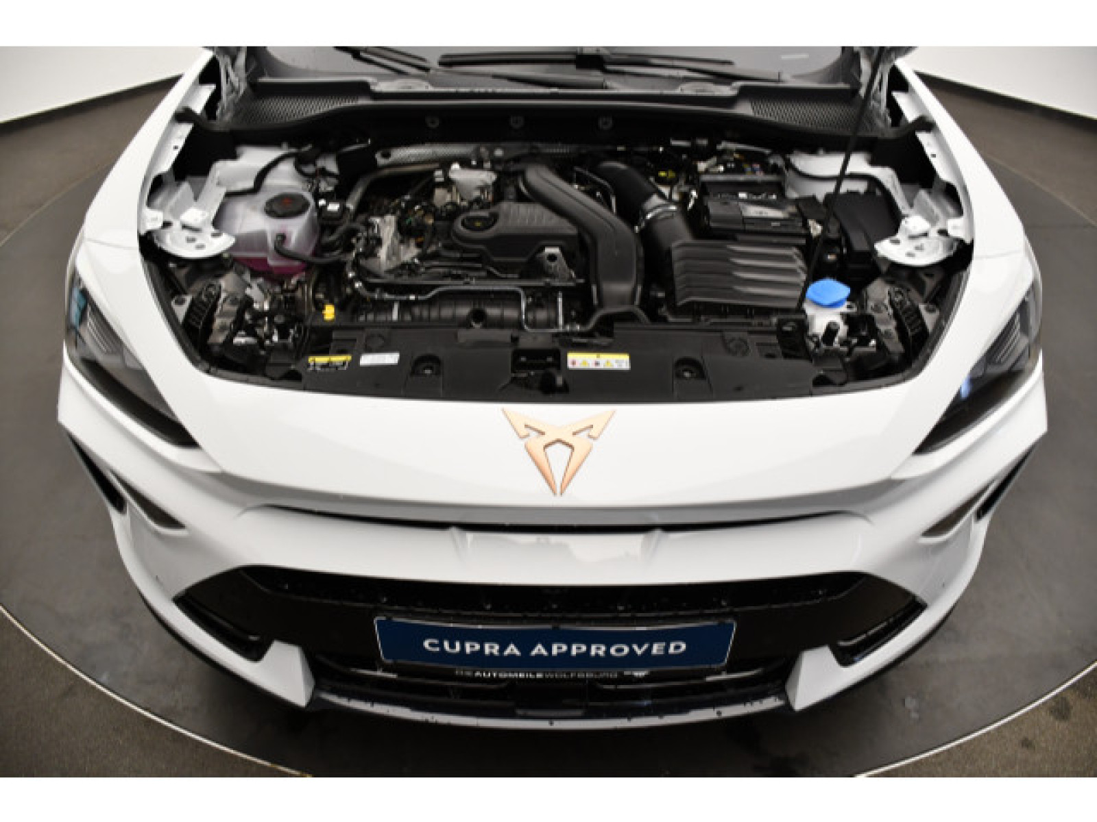 Cupra - Formentor_12