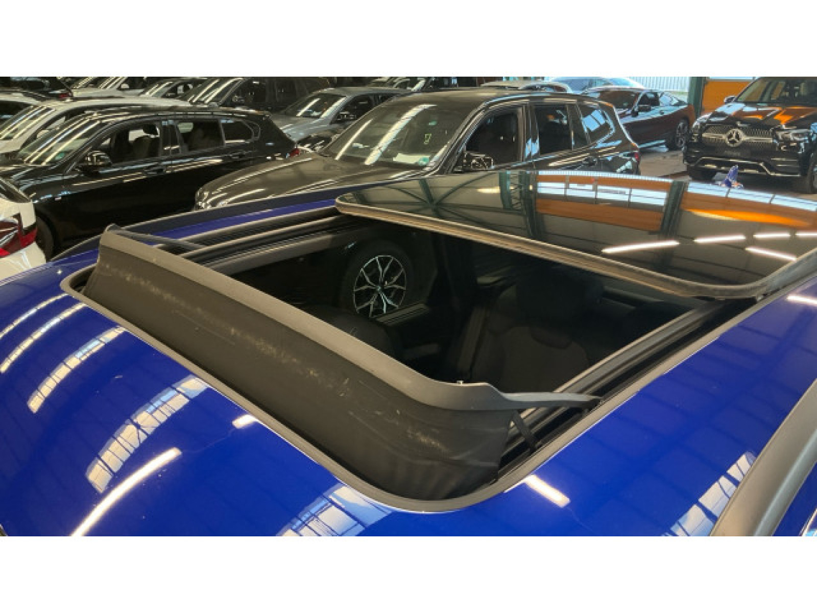 Audi - Q5_12 Audi - Q5_12