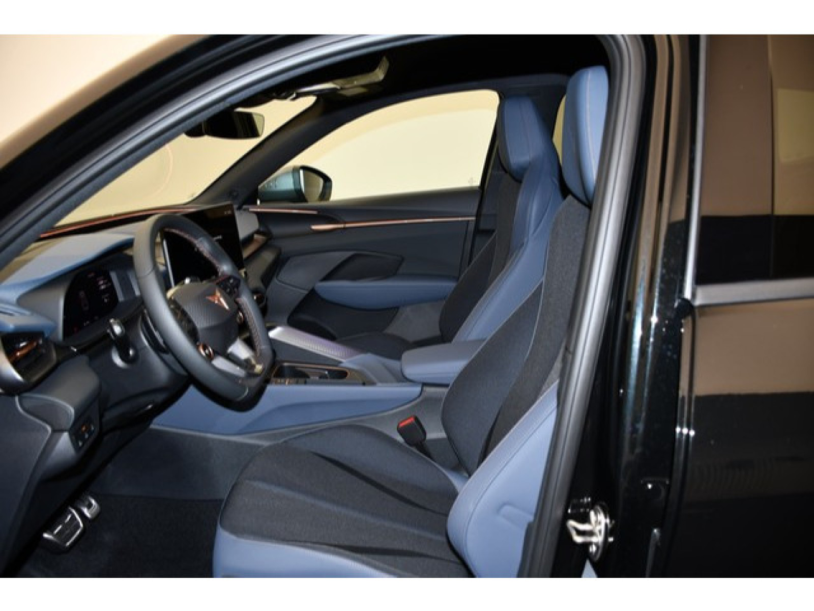 Cupra - Terramar_3