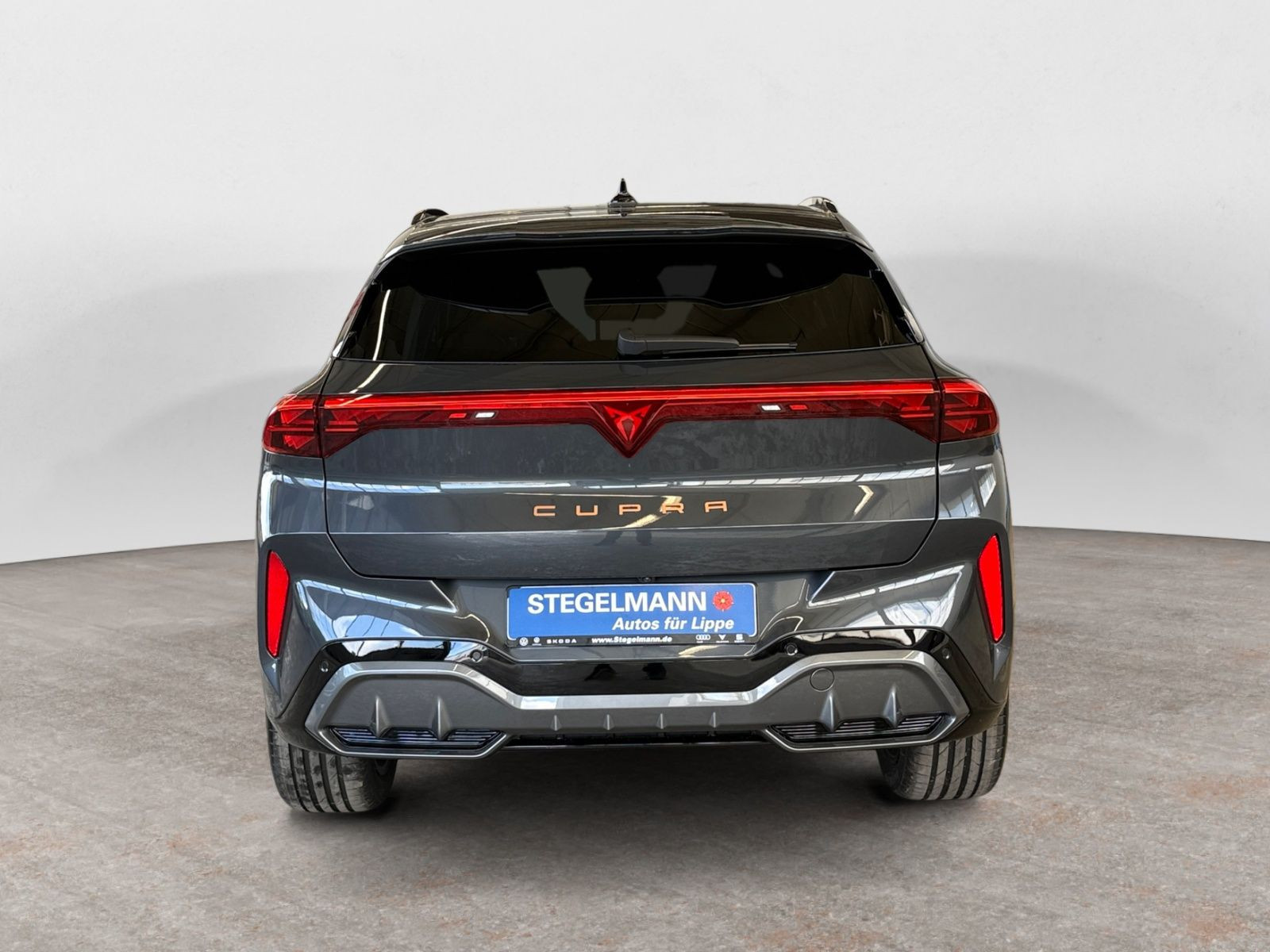Cupra - Terramar_5