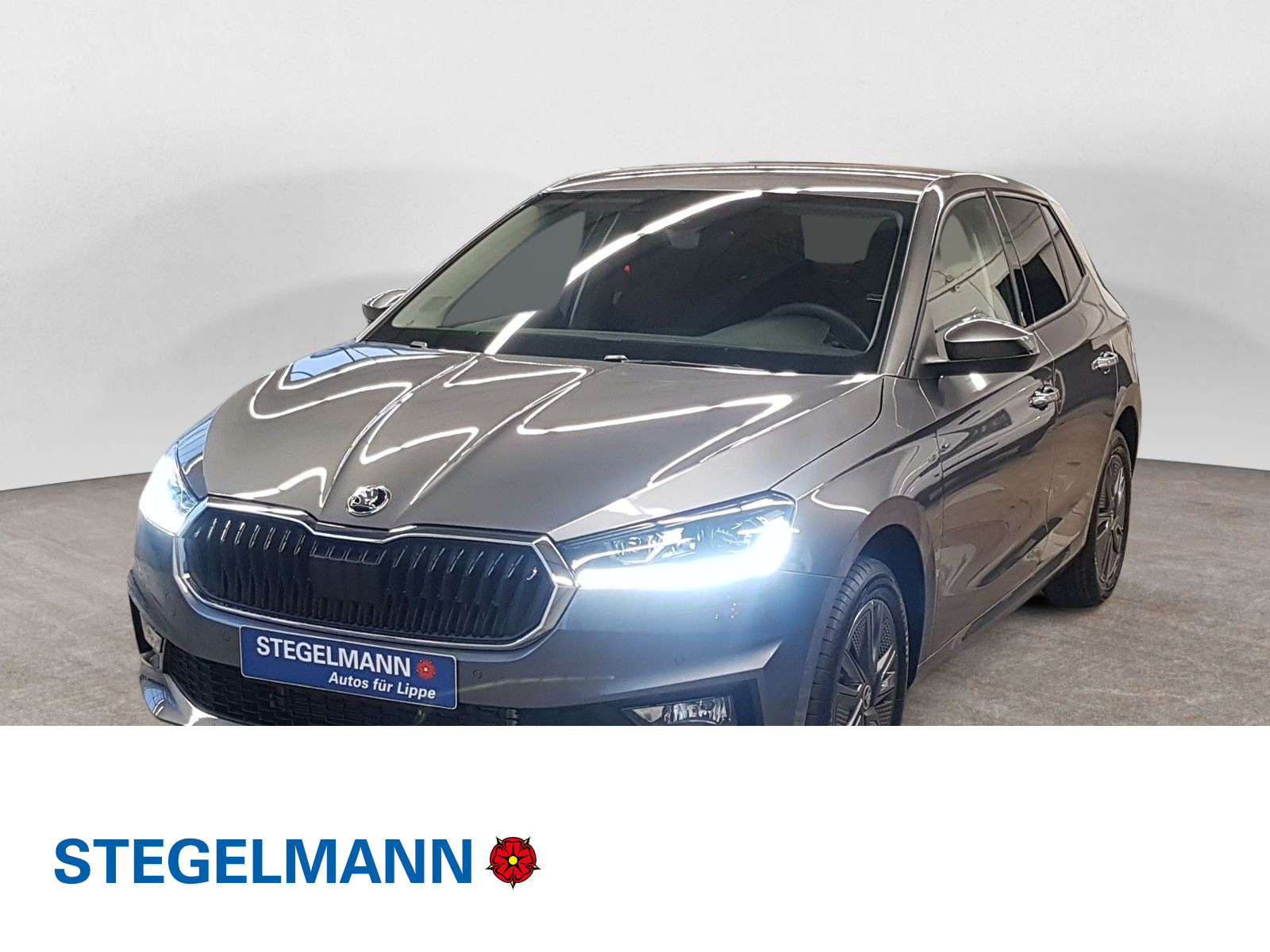 diagonal-frontansicht-aussen