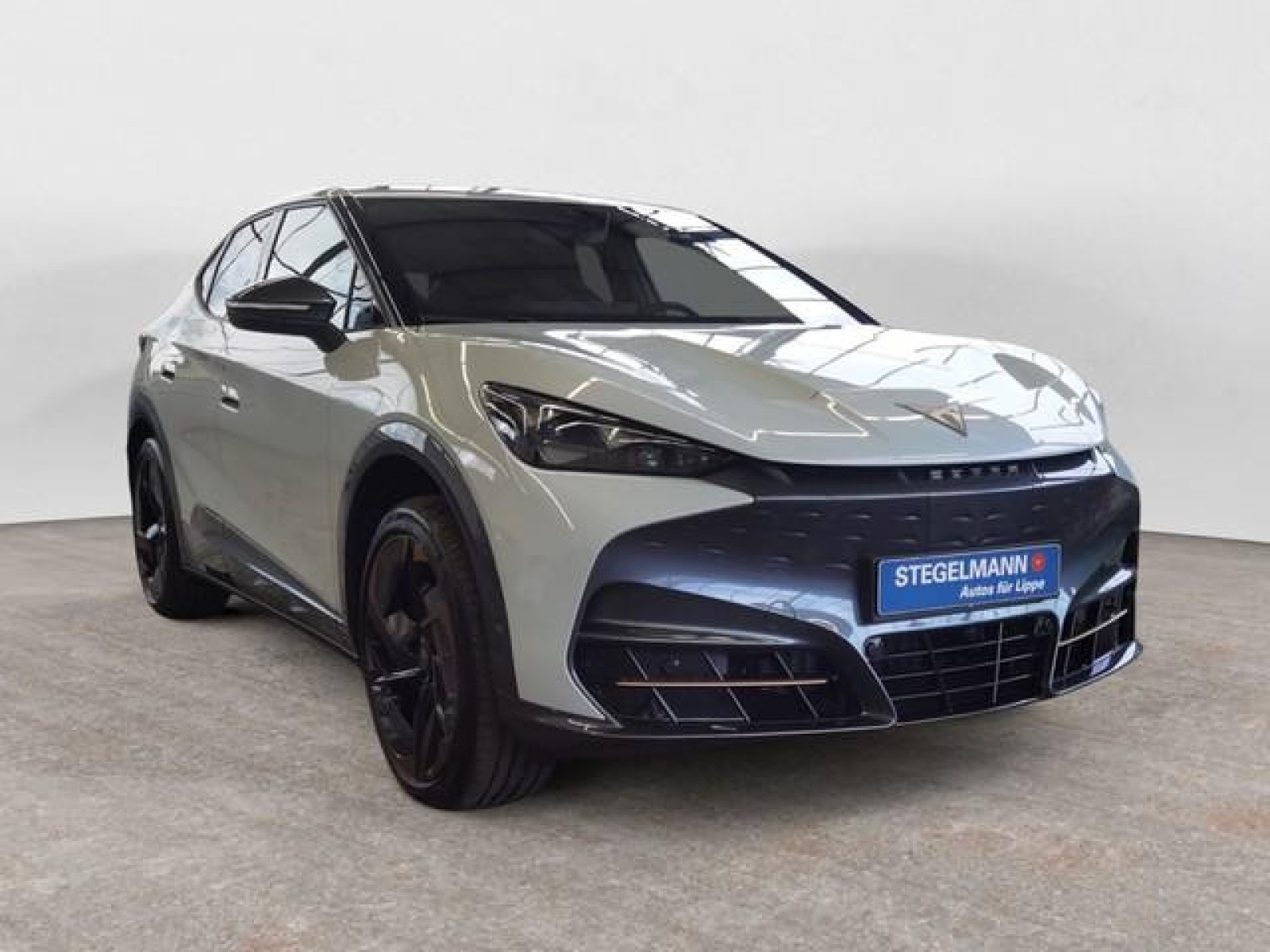 diagonal-frontansicht-aussen