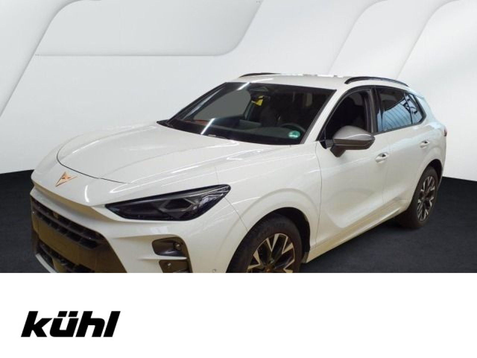 diagonal-frontansicht-aussen